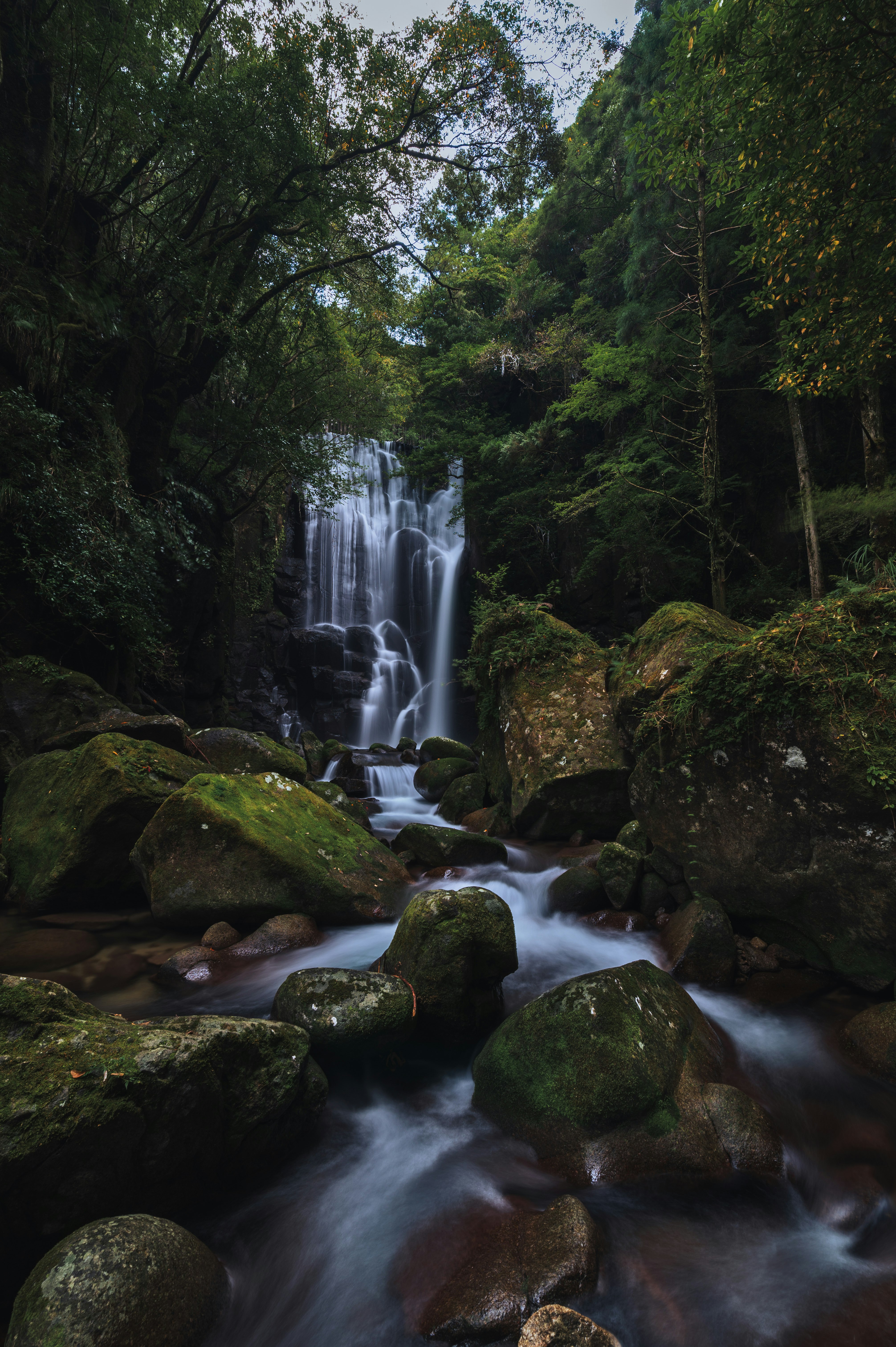 A beautiful waterfall flowing surrounded by lush green forest