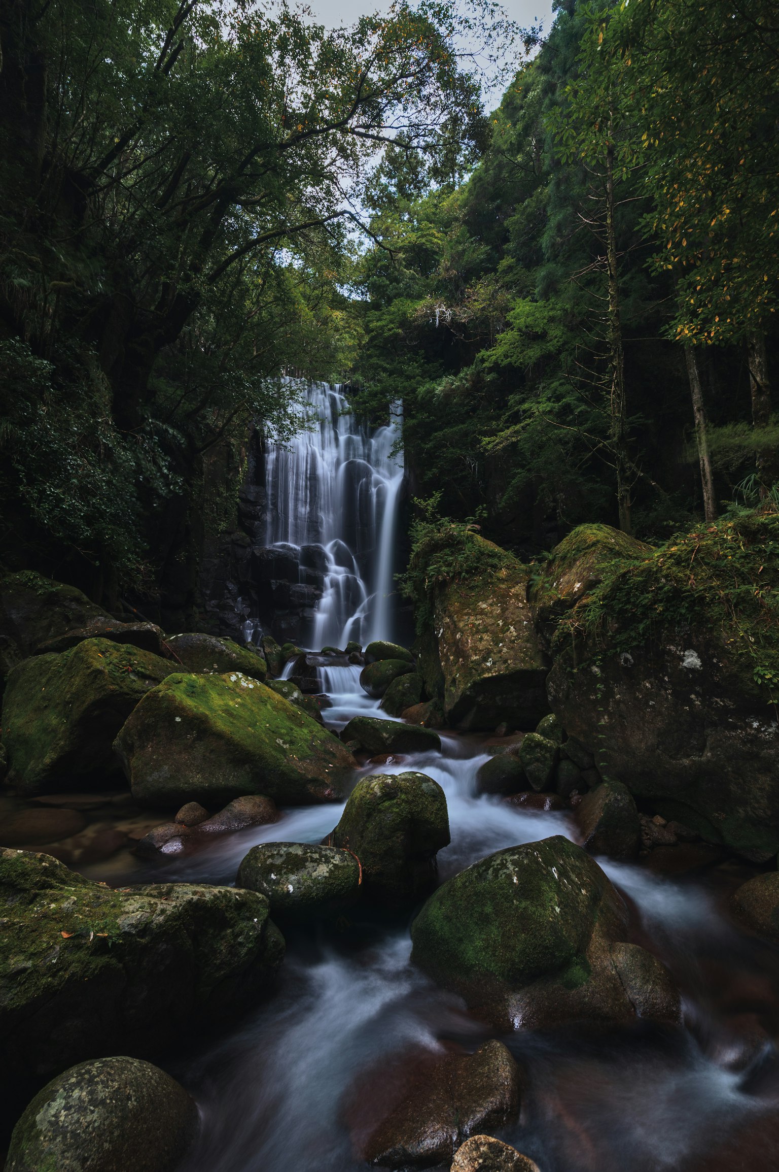 Una hermosa cascada fluyendo rodeada de un bosque frondoso