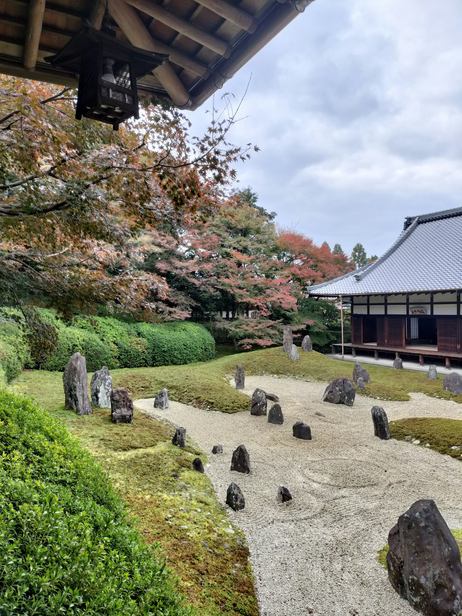 ทิวทัศน์ที่สวยงามของสวนวัดญี่ปุ่นที่มีหินและต้นซากุระ