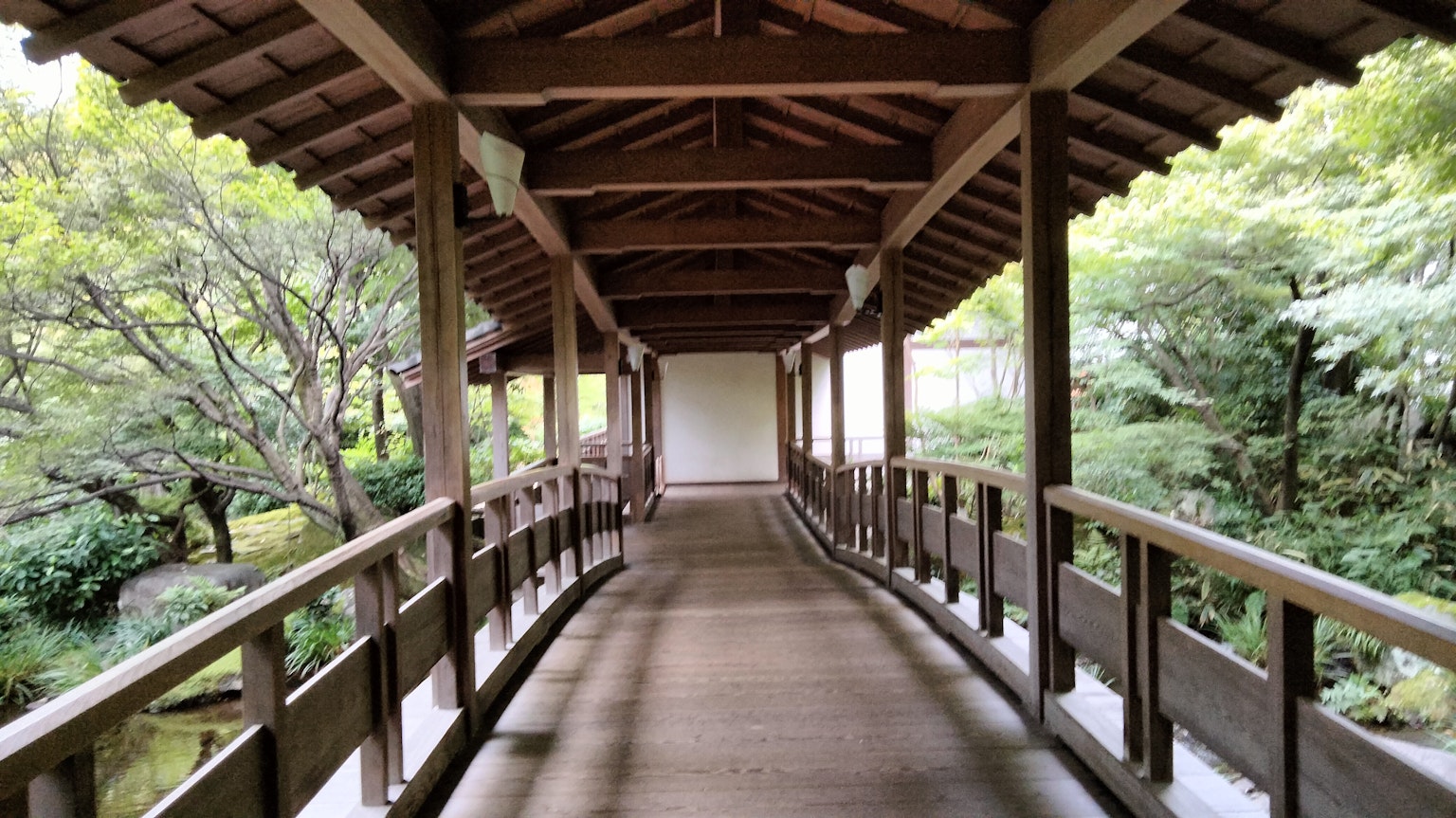 Ponte in legno con vegetazione lussureggiante sullo sfondo