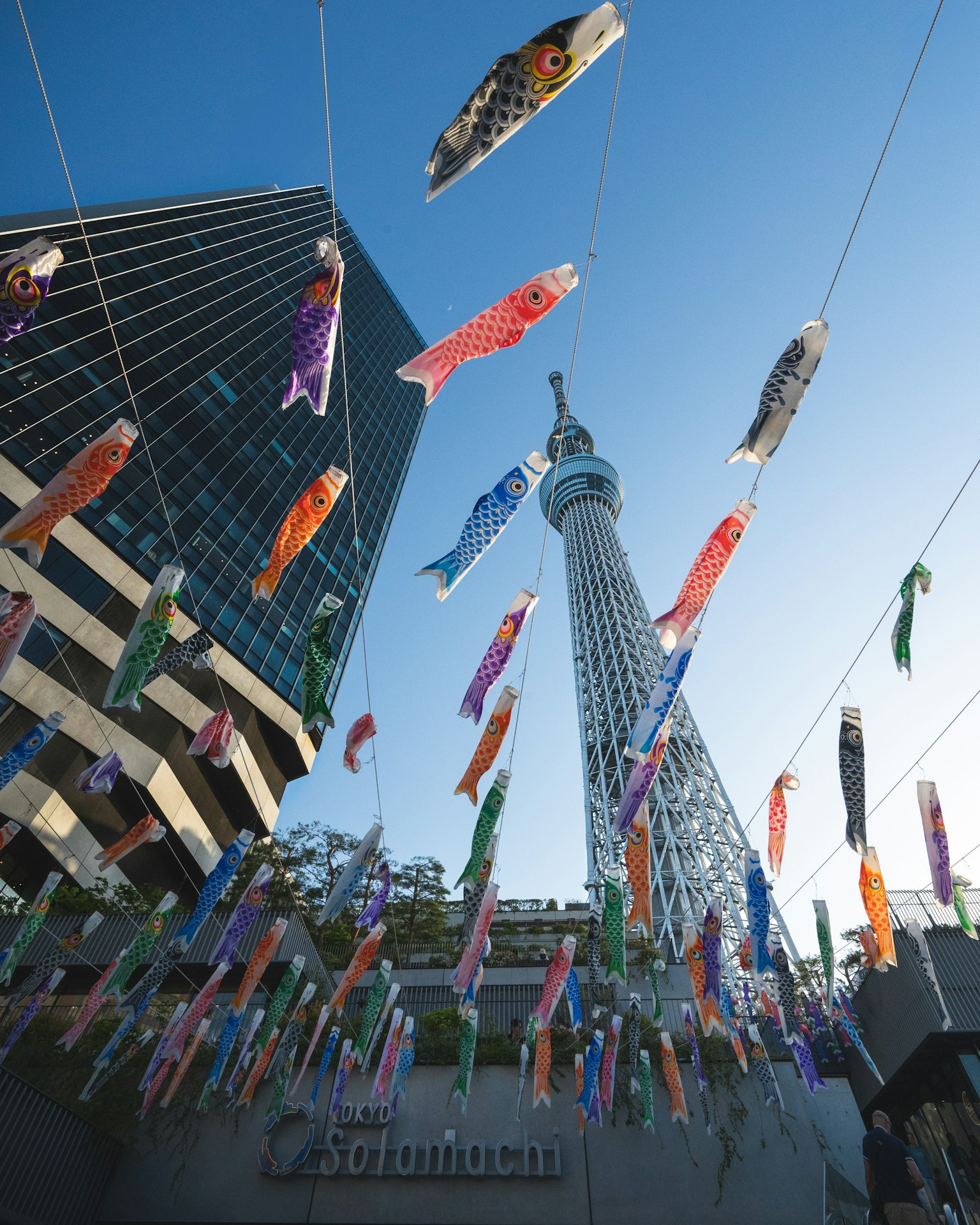 Tokyo Skytree avec des décorations de koi nobori colorés