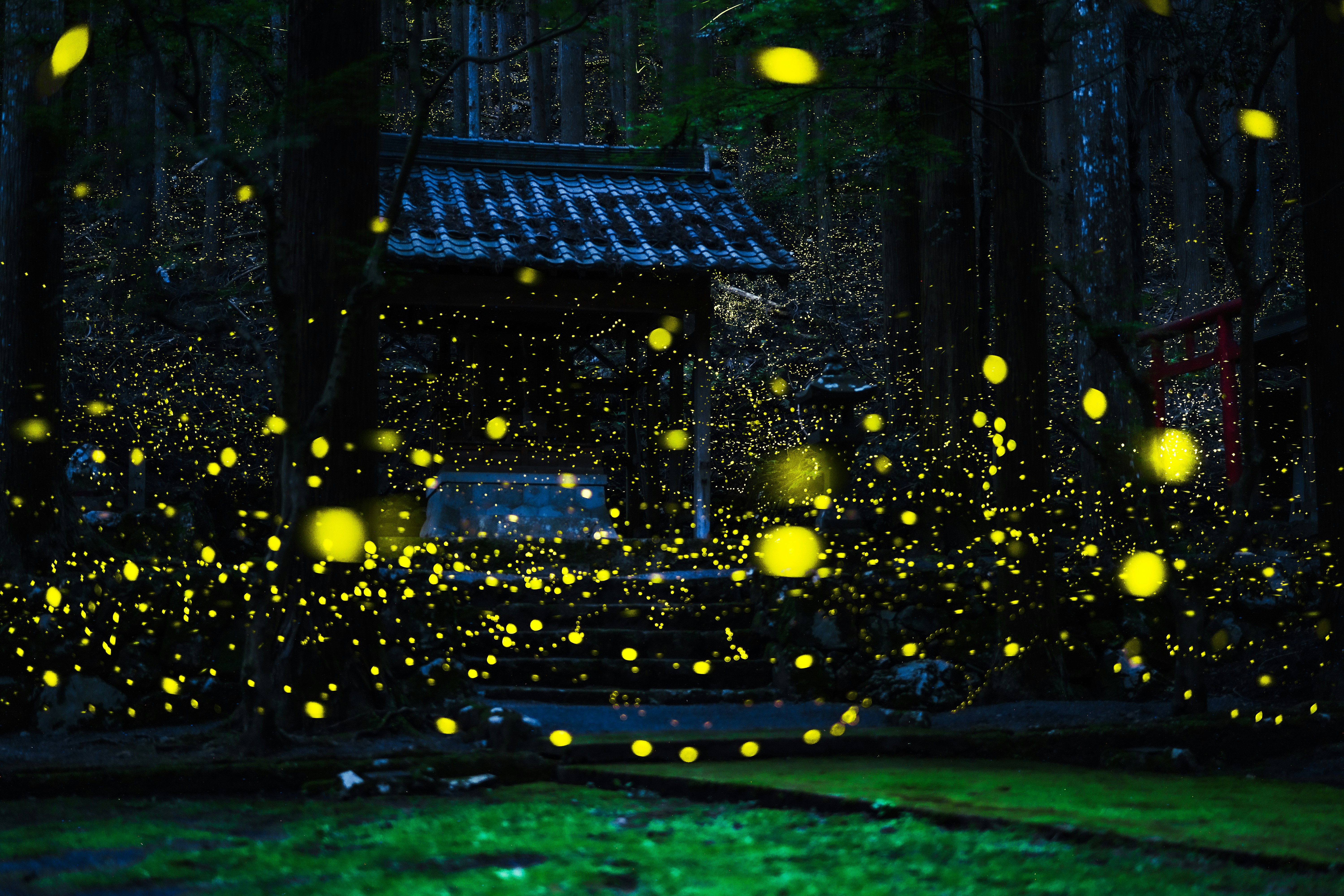 森の中の小さな家と光の粒が舞う夜の情景