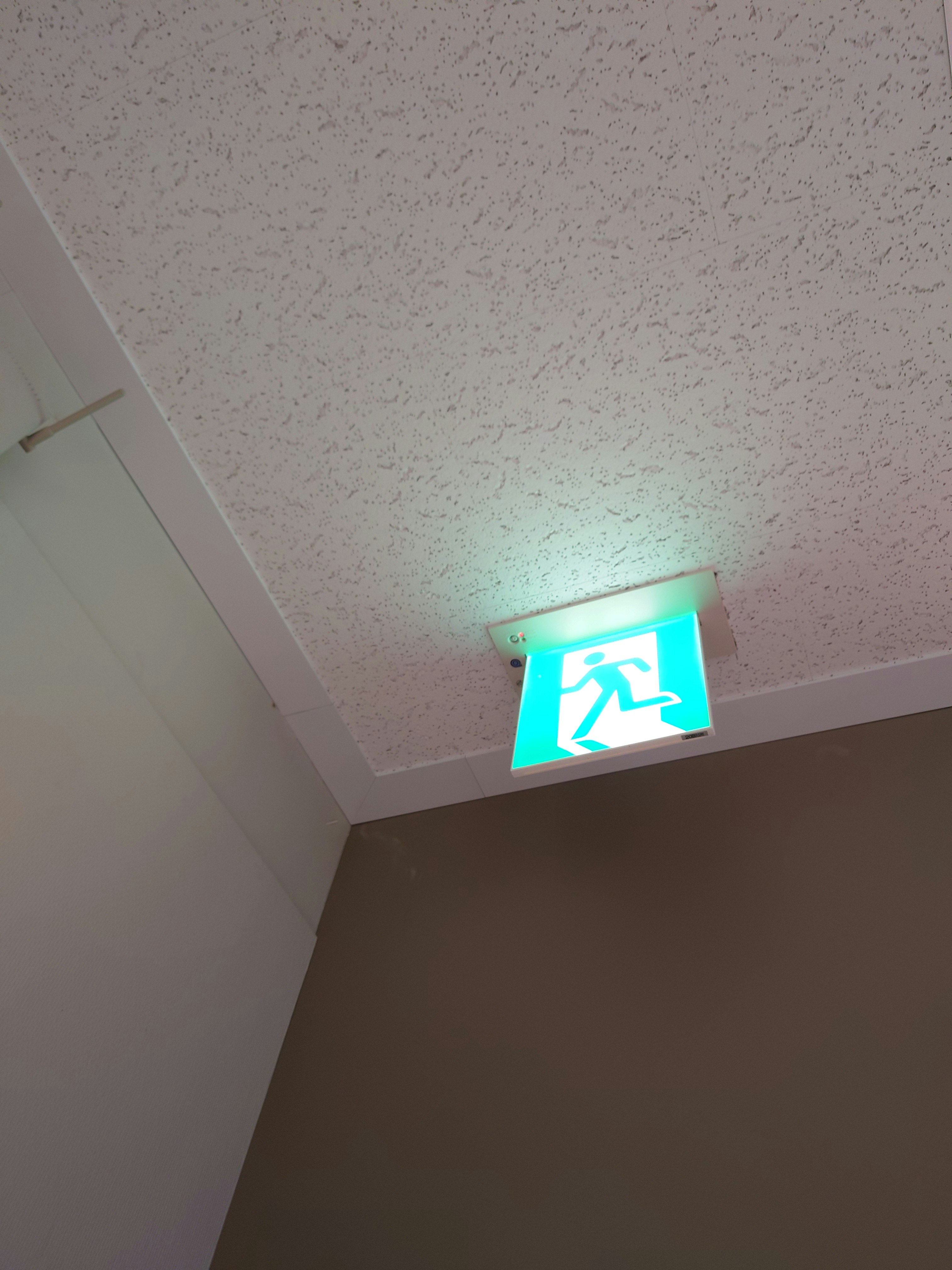 非常口の誘導灯が点灯した室内の廊下