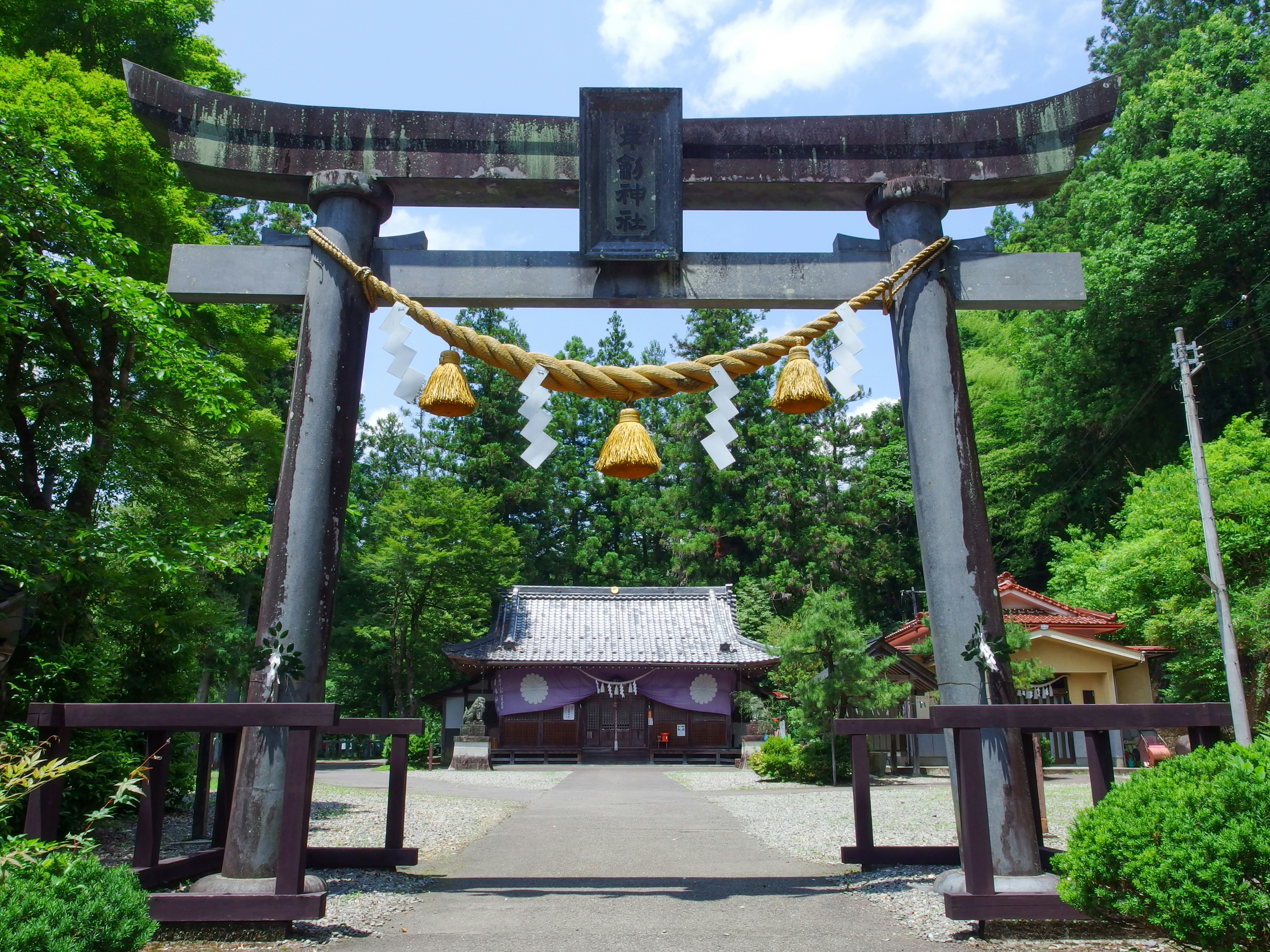 緑の森に囲まれた鳥居と神社の参道