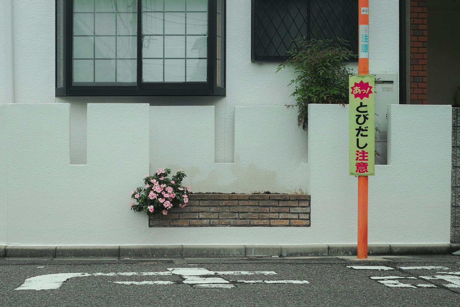 Scena semplice con fiori su un muro bianco
