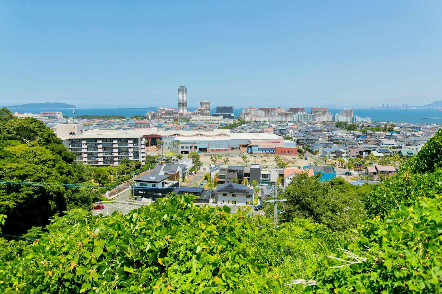 Urban landscape with ocean backdrop greenery in the foreground