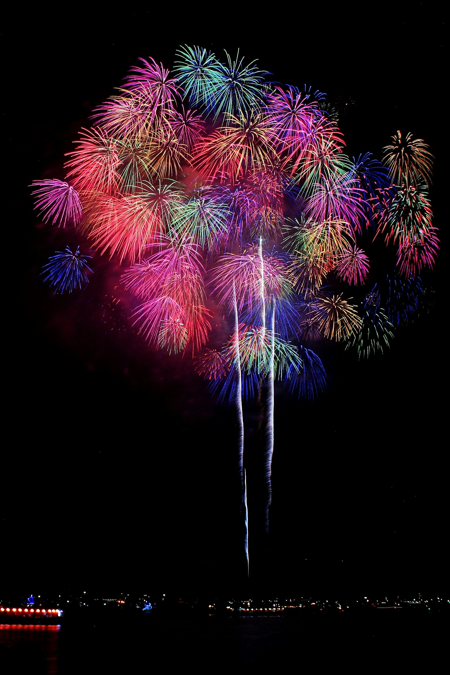 Colorful fireworks bursting in the night sky