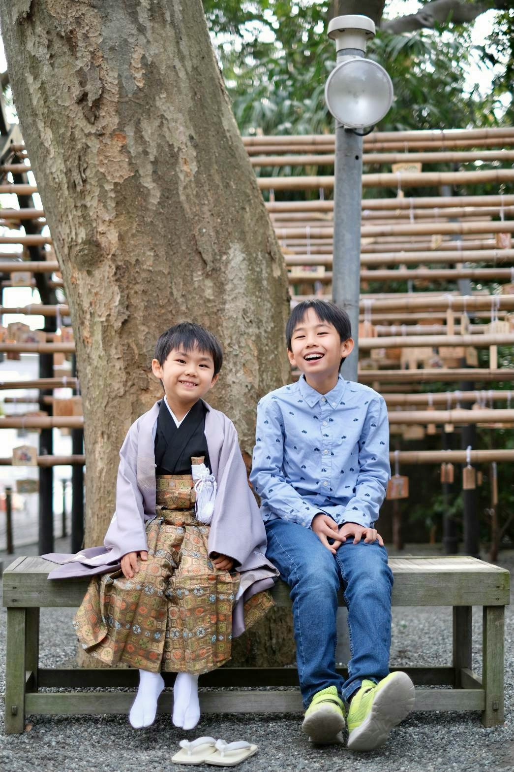 木のベンチに座る七五三の兄弟