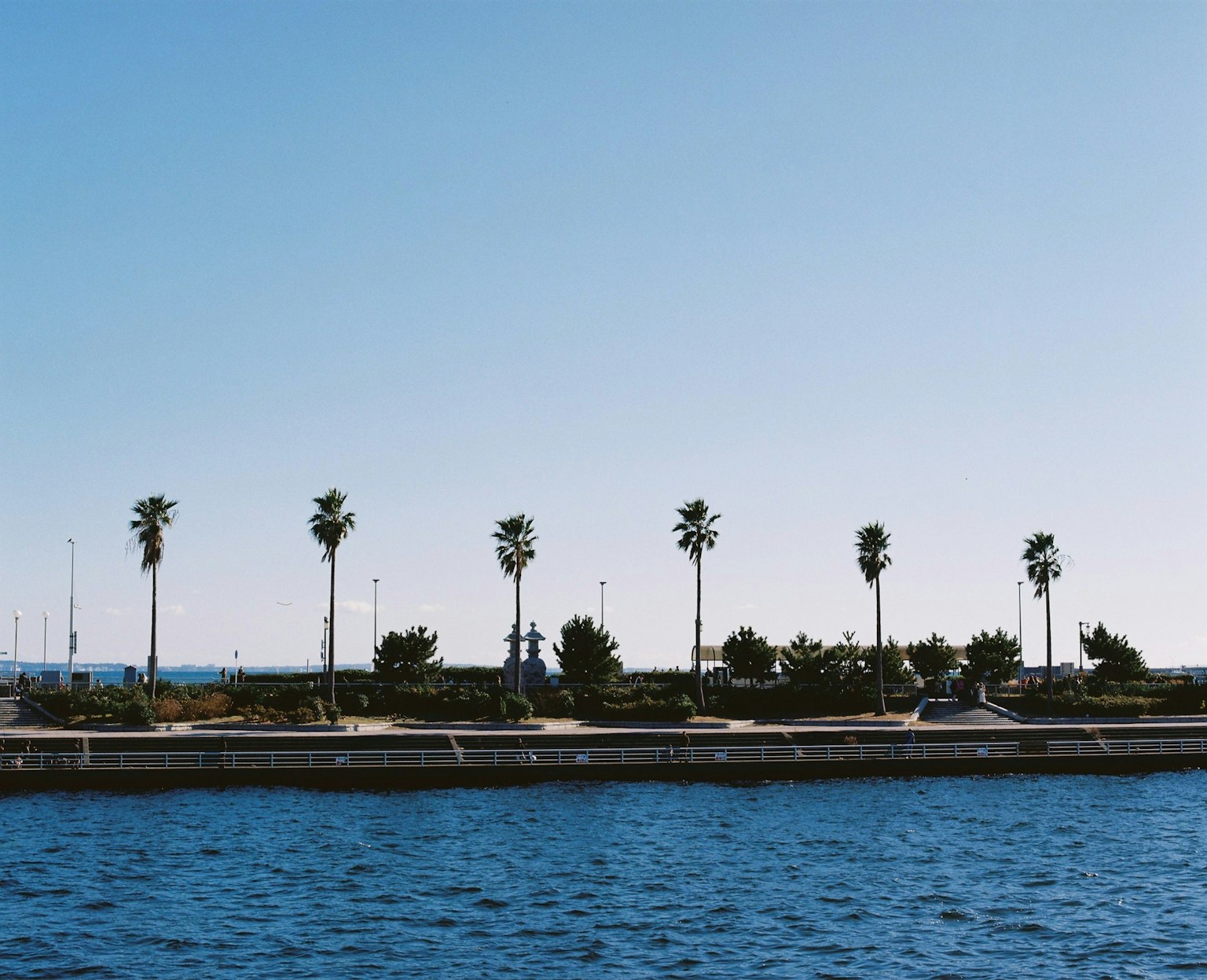 Vue côtière avec des palmiers alignés contre un ciel bleu et de l'eau