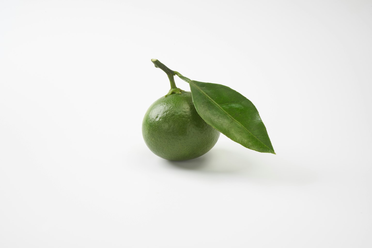 Un fruit vert avec une feuille sur un fond blanc