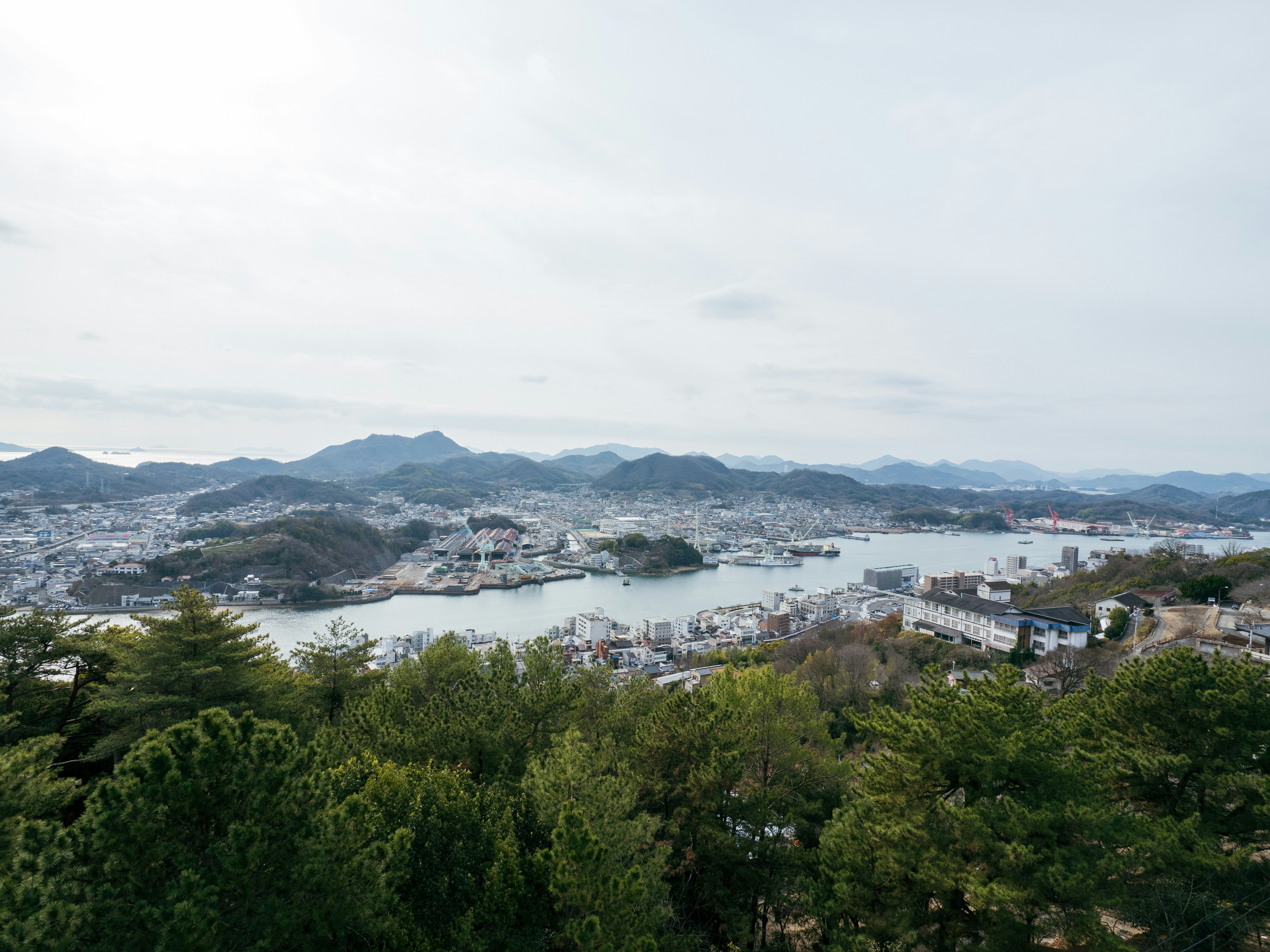丘の上から見下ろす湾岸の街並みと山並み