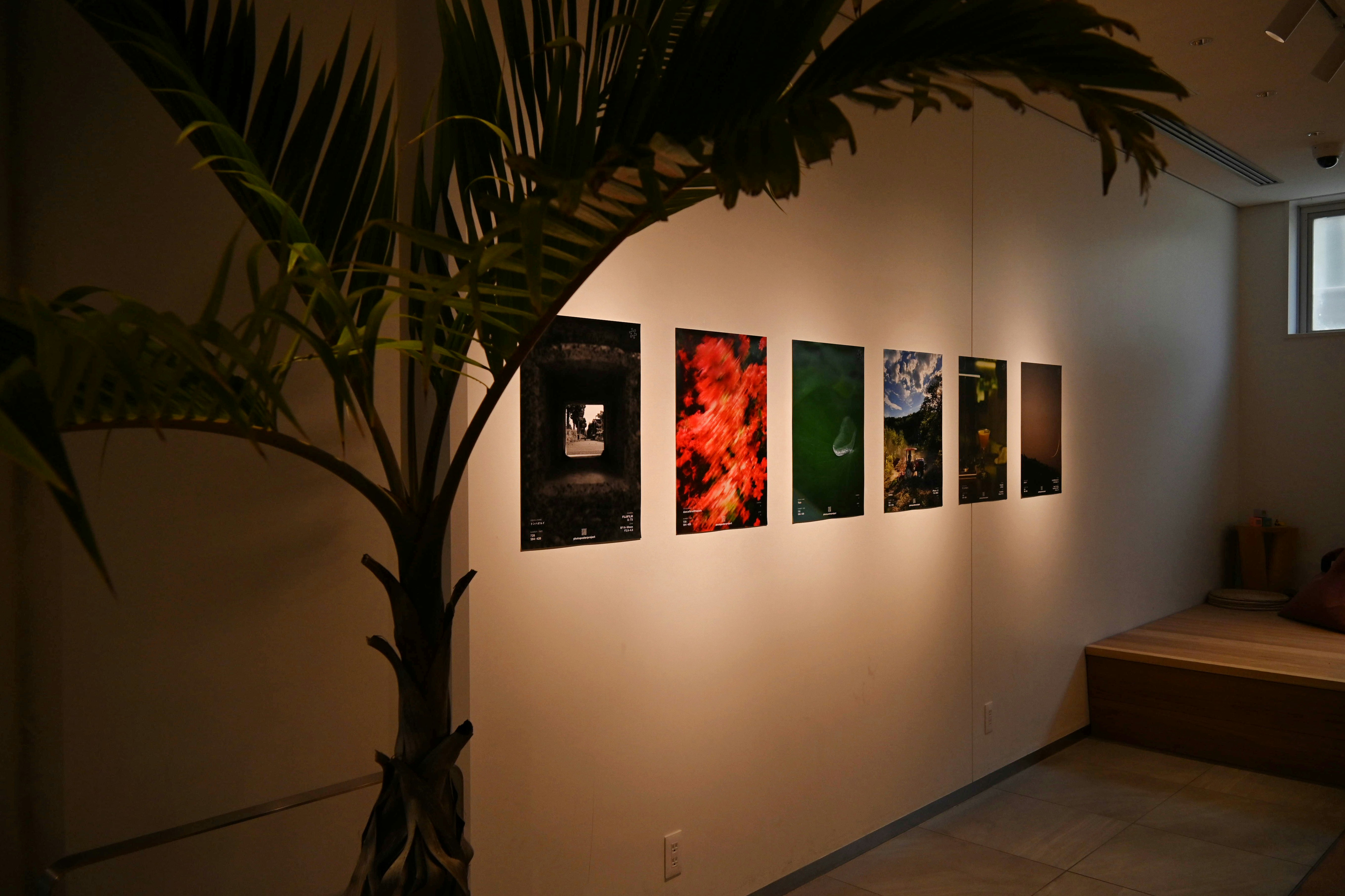 室內畫廊牆面陳列的展覽海報與盆栽植物