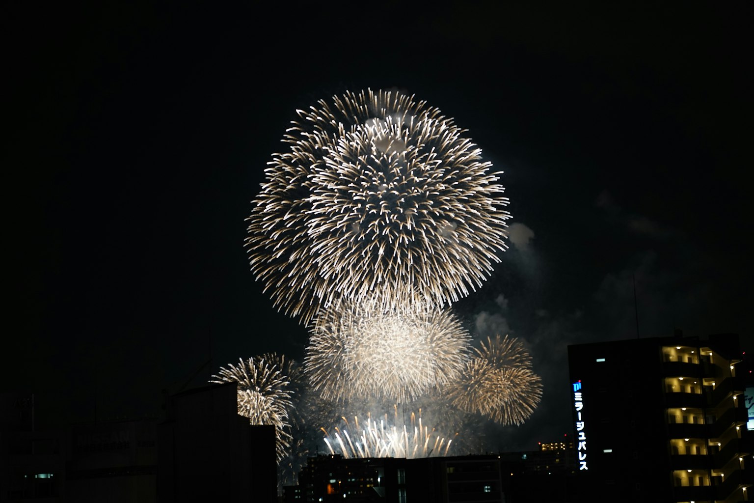 夜空中绽放的生动烟花