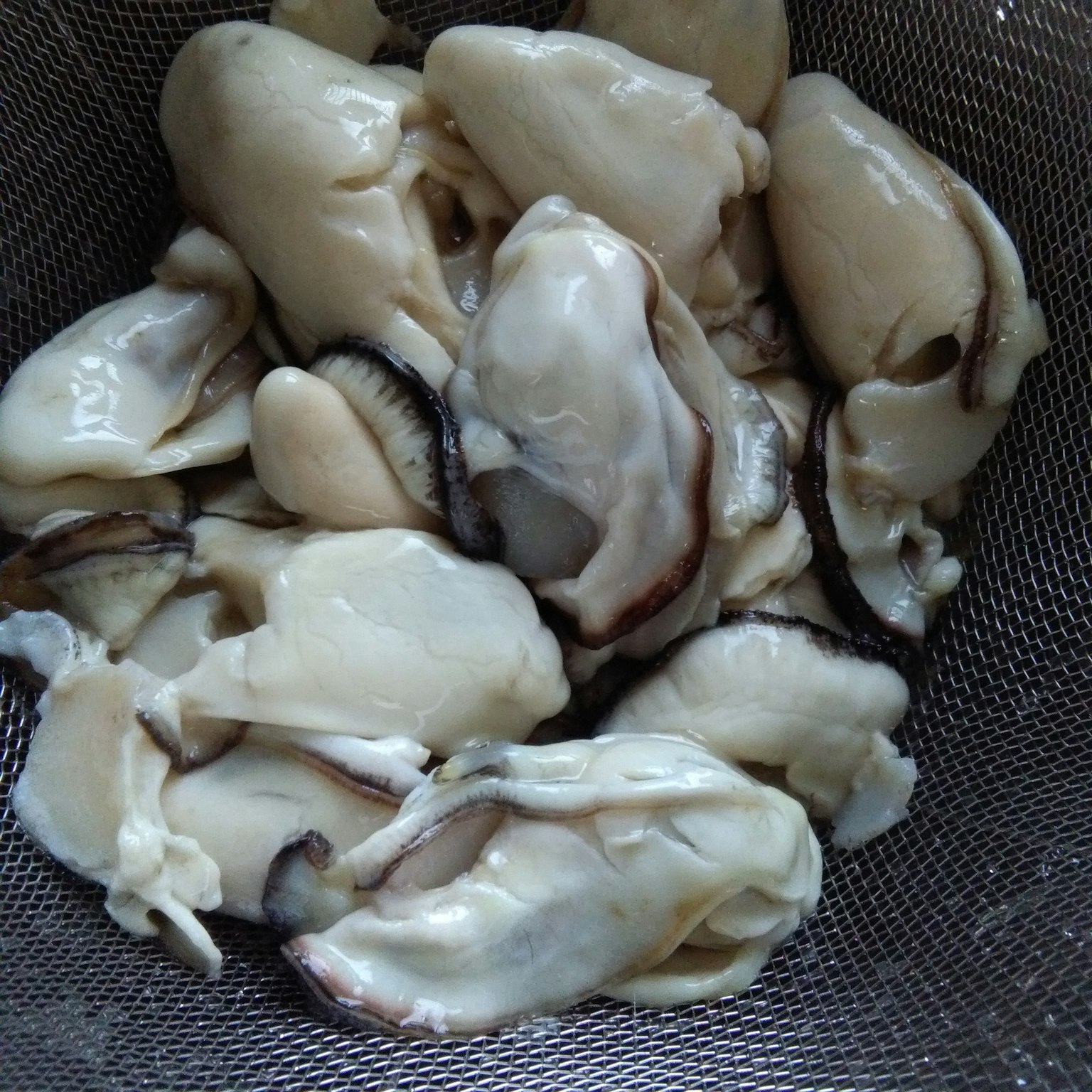 Ngọc trai tươi trong bát lưới