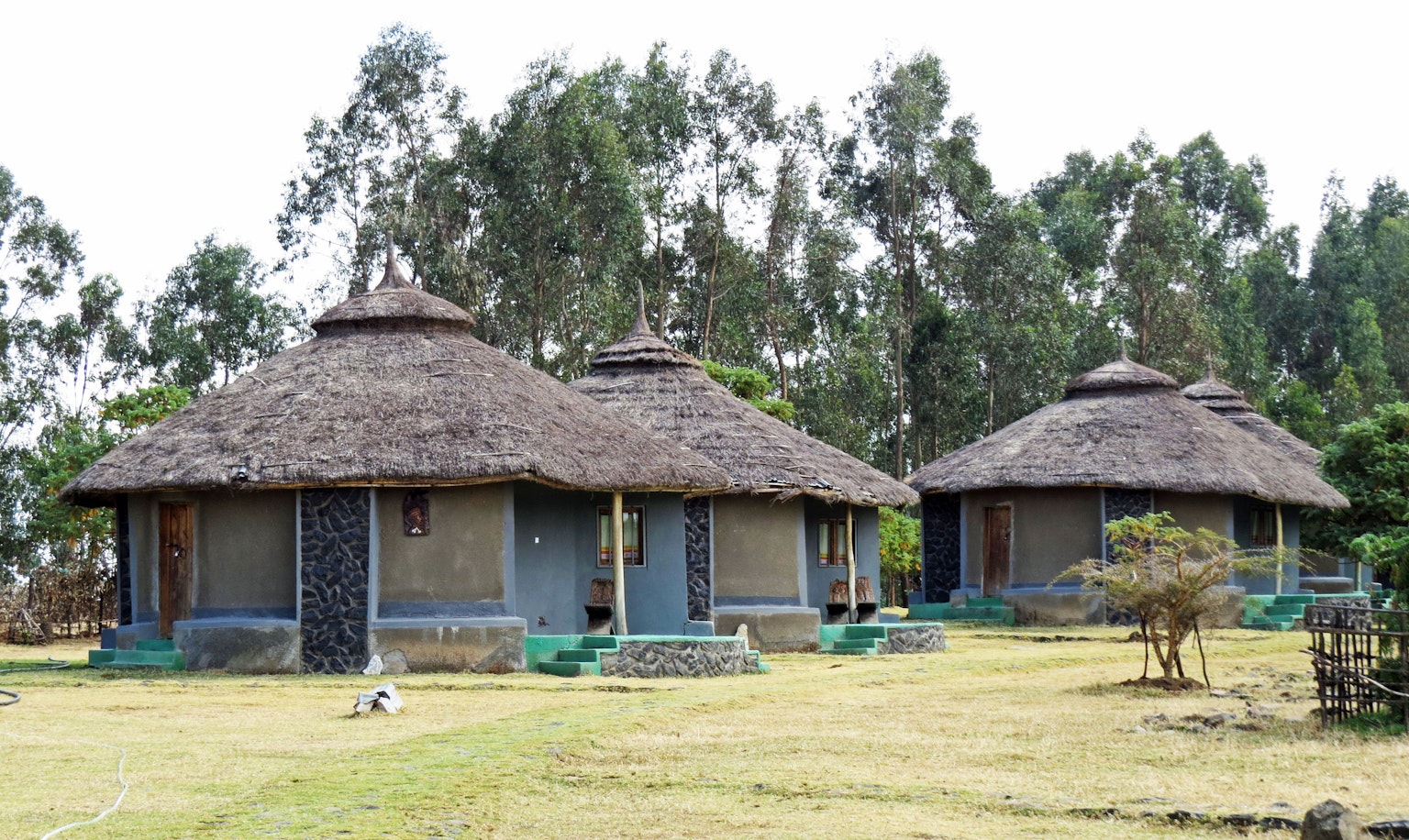 Scenic view of thatched-roof huts surrounded by trees