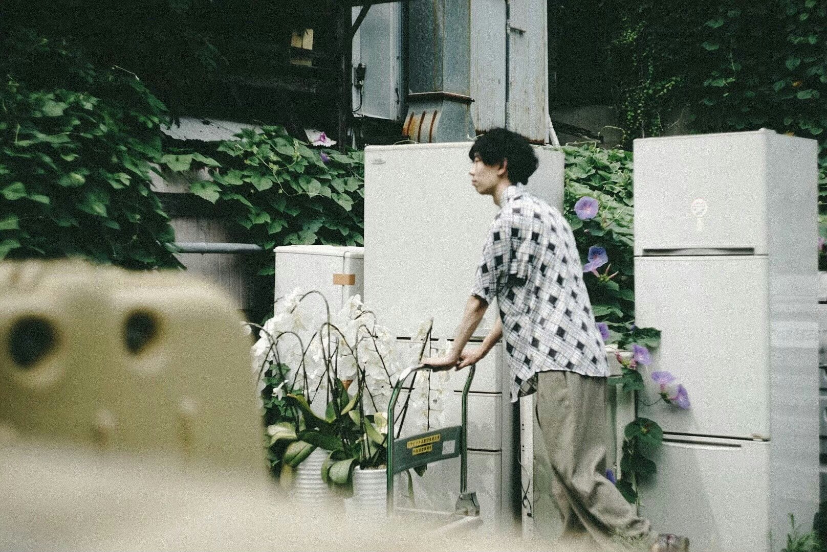 庭の植栽のそばで段ボールを運ぶ人