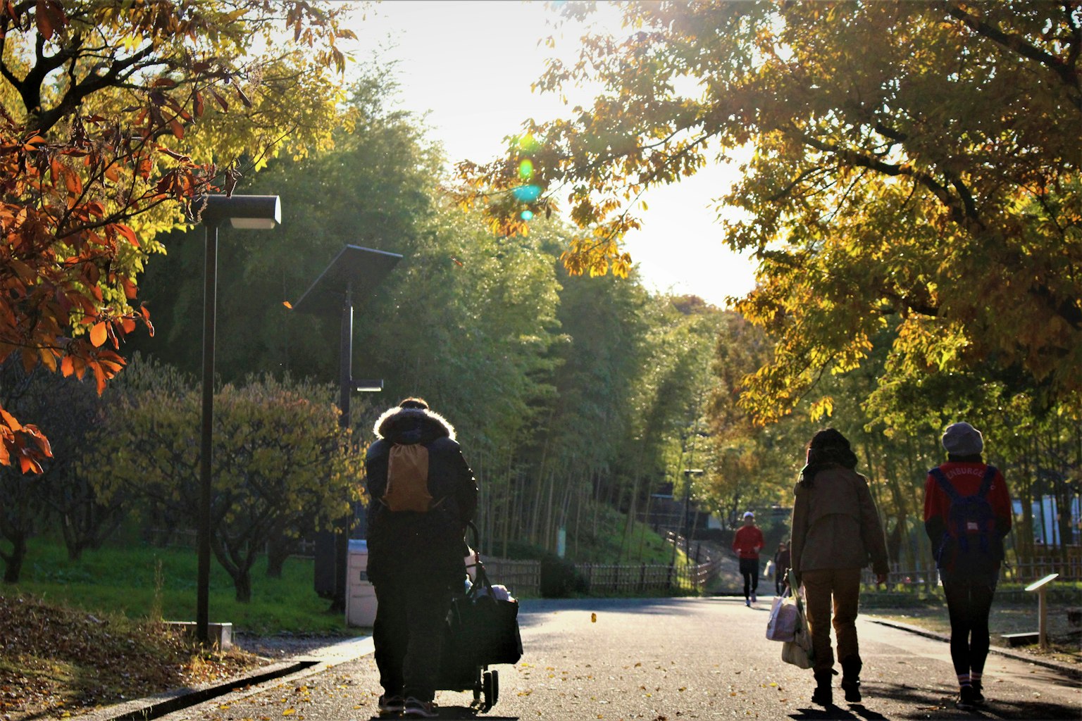 Personas caminando en un parque de otoño con árboles coloridos