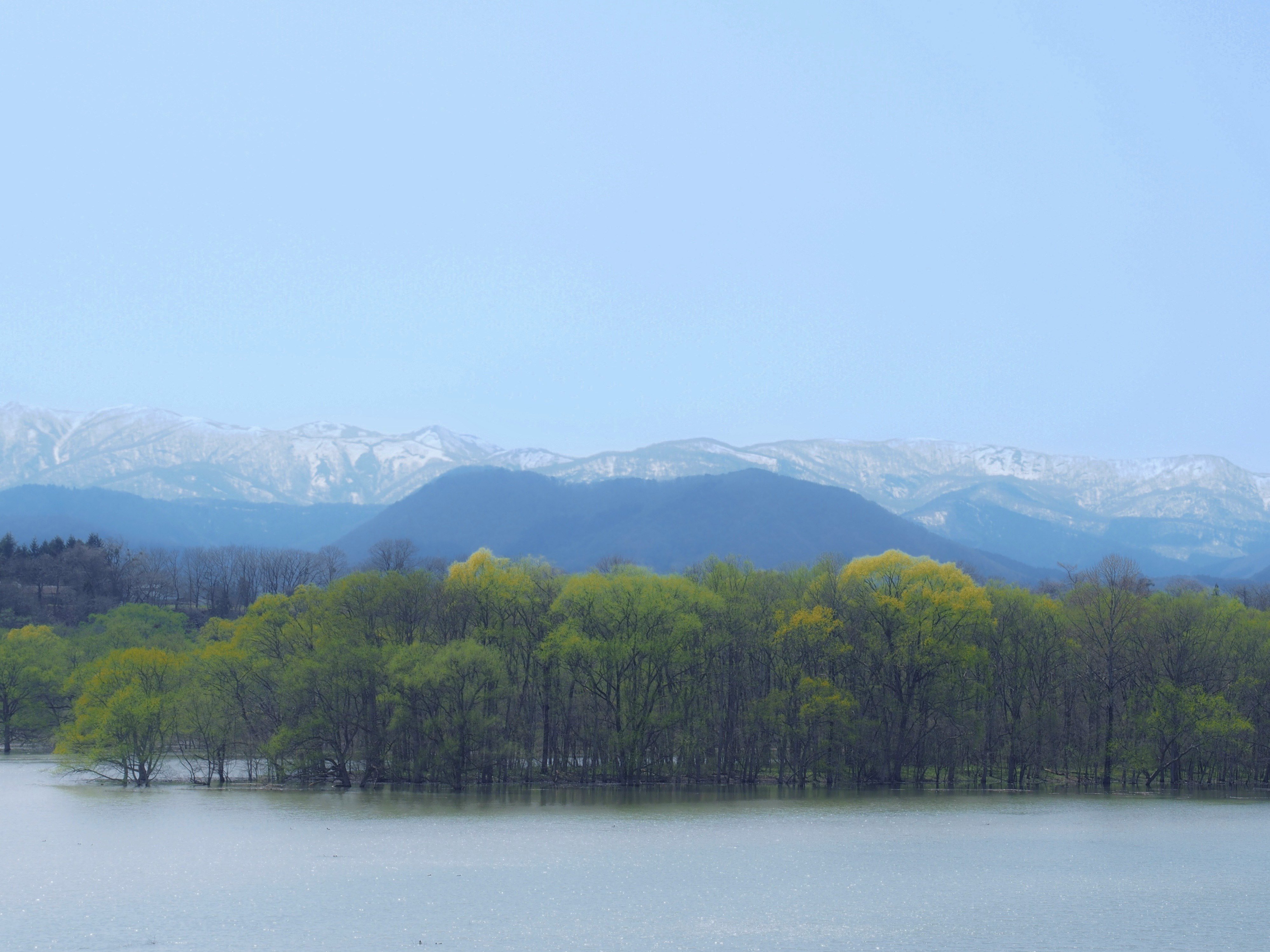 新緑の森と残雪の山が映る湖畔の風景