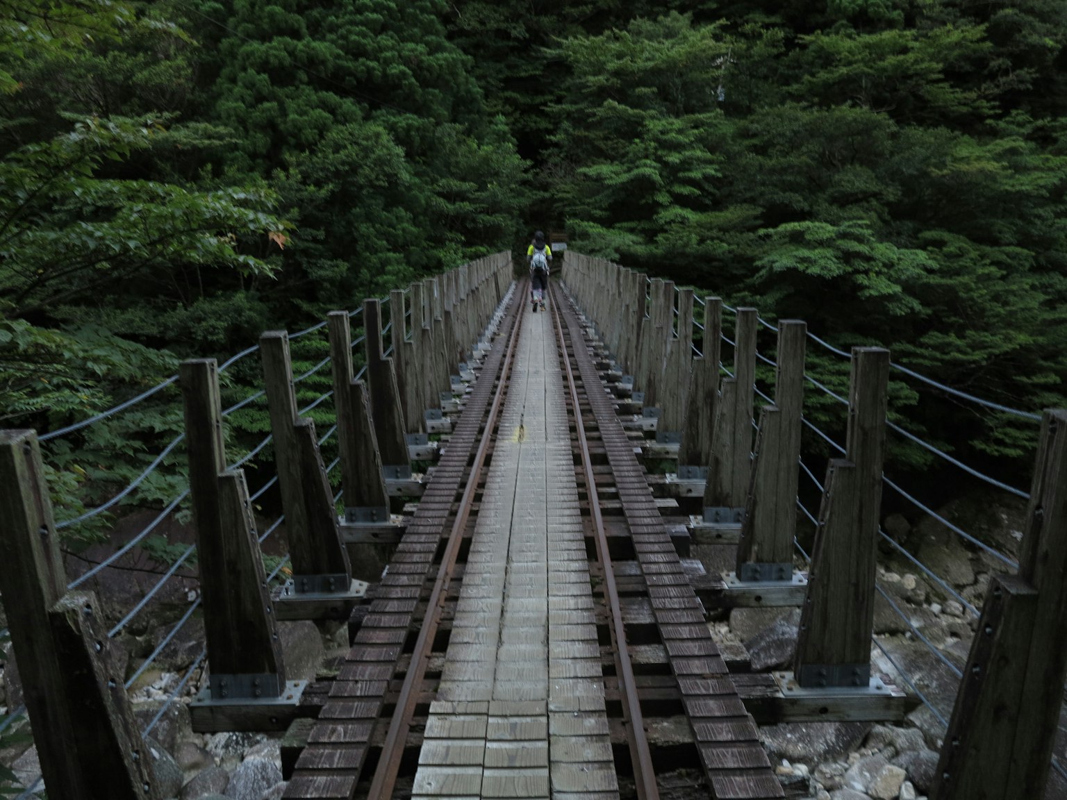 Jembatan gantung kayu di hutan dengan dua orang berjalan