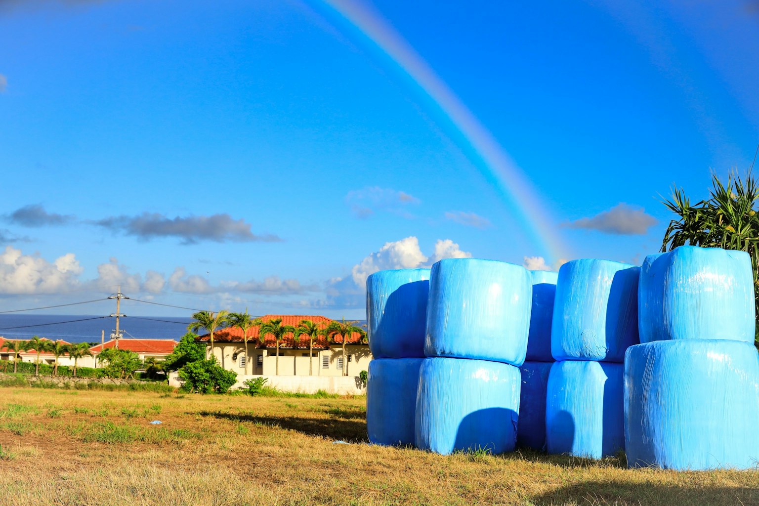 Blaue Heuballen mit einem Regenbogen im Hintergrund