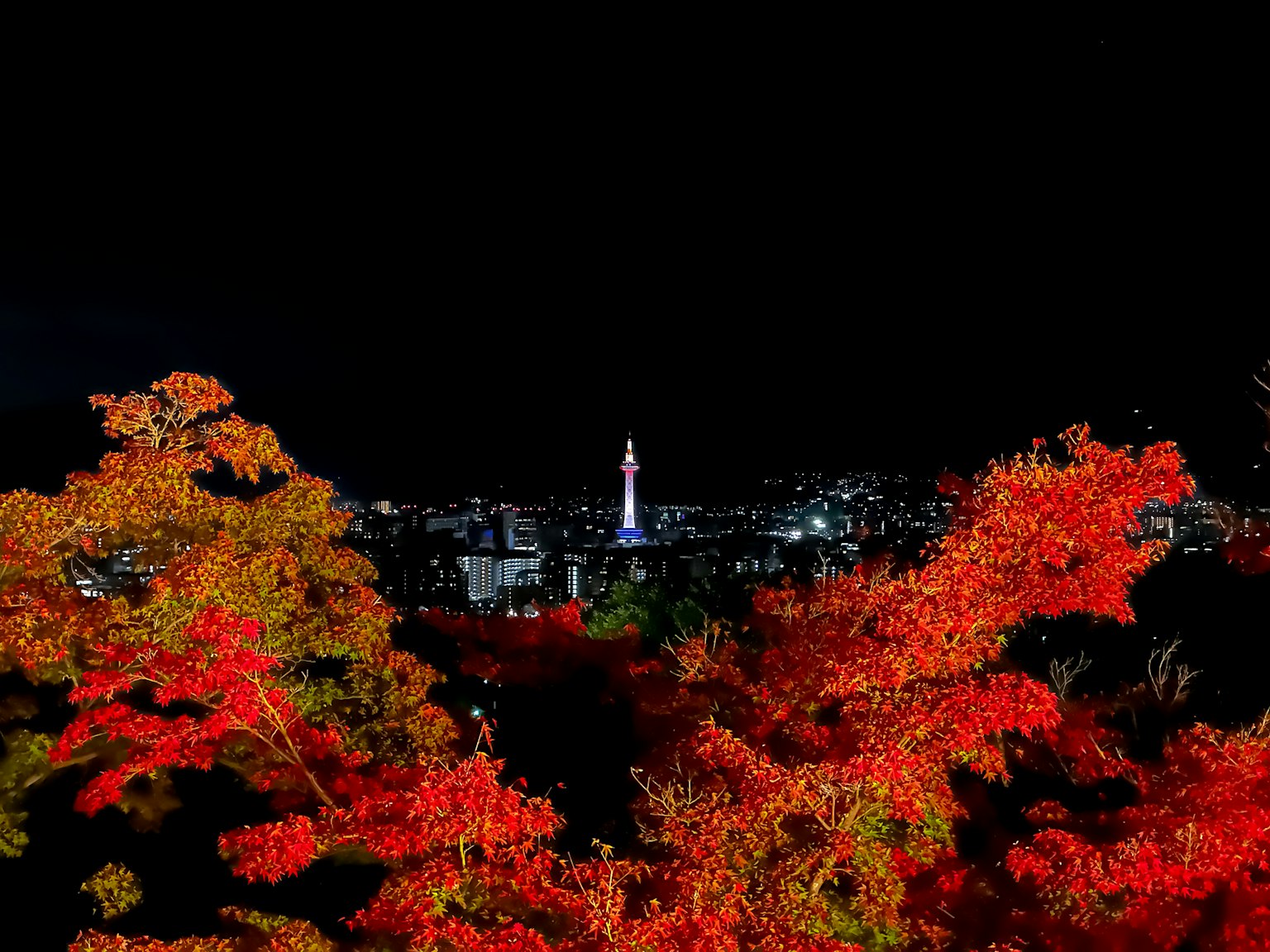 교토 타워가 보이는 교토의 아름다운 가을 밤 풍경