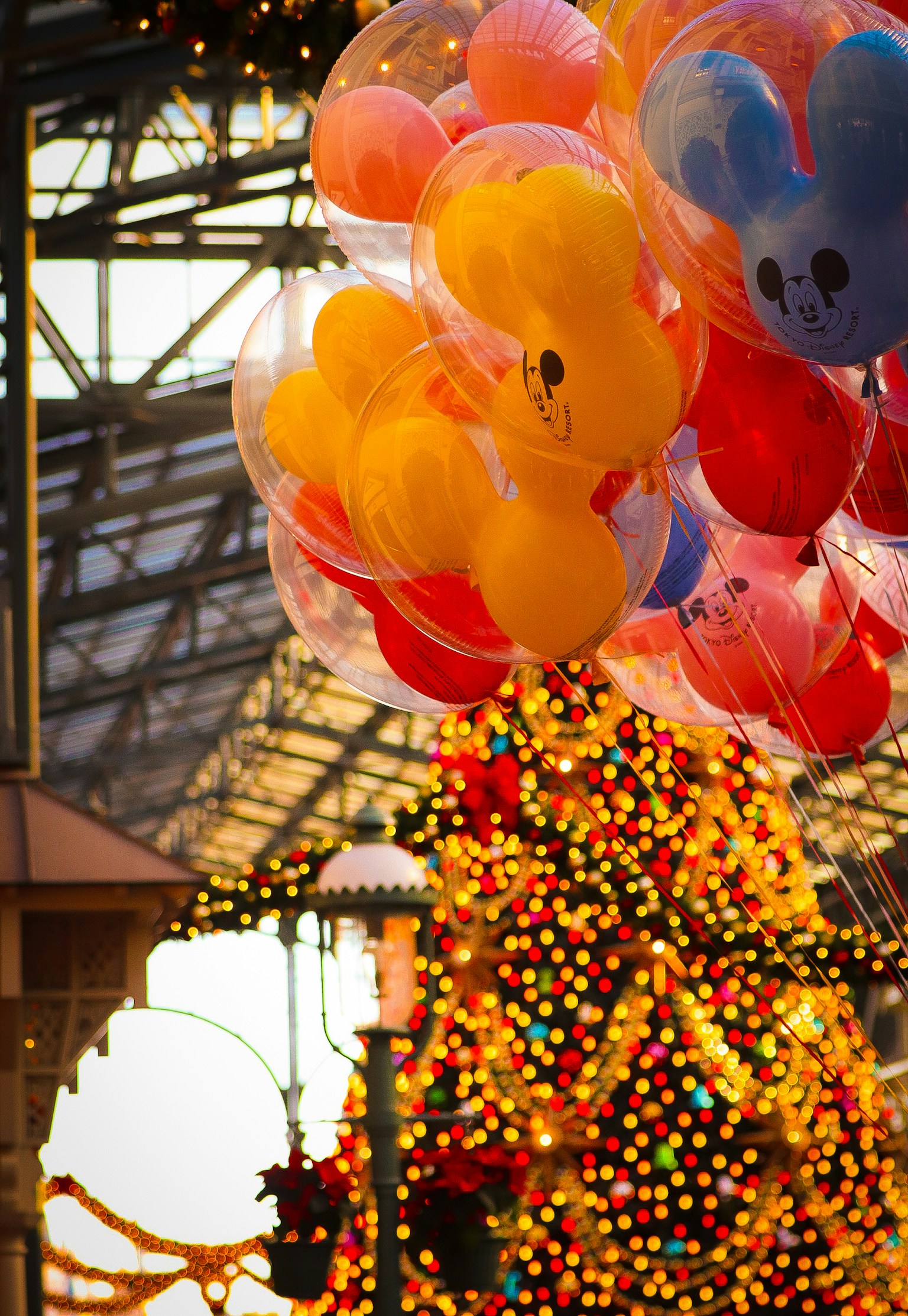 photo-ldH8BNSMLPjOwhMGX8HO-image