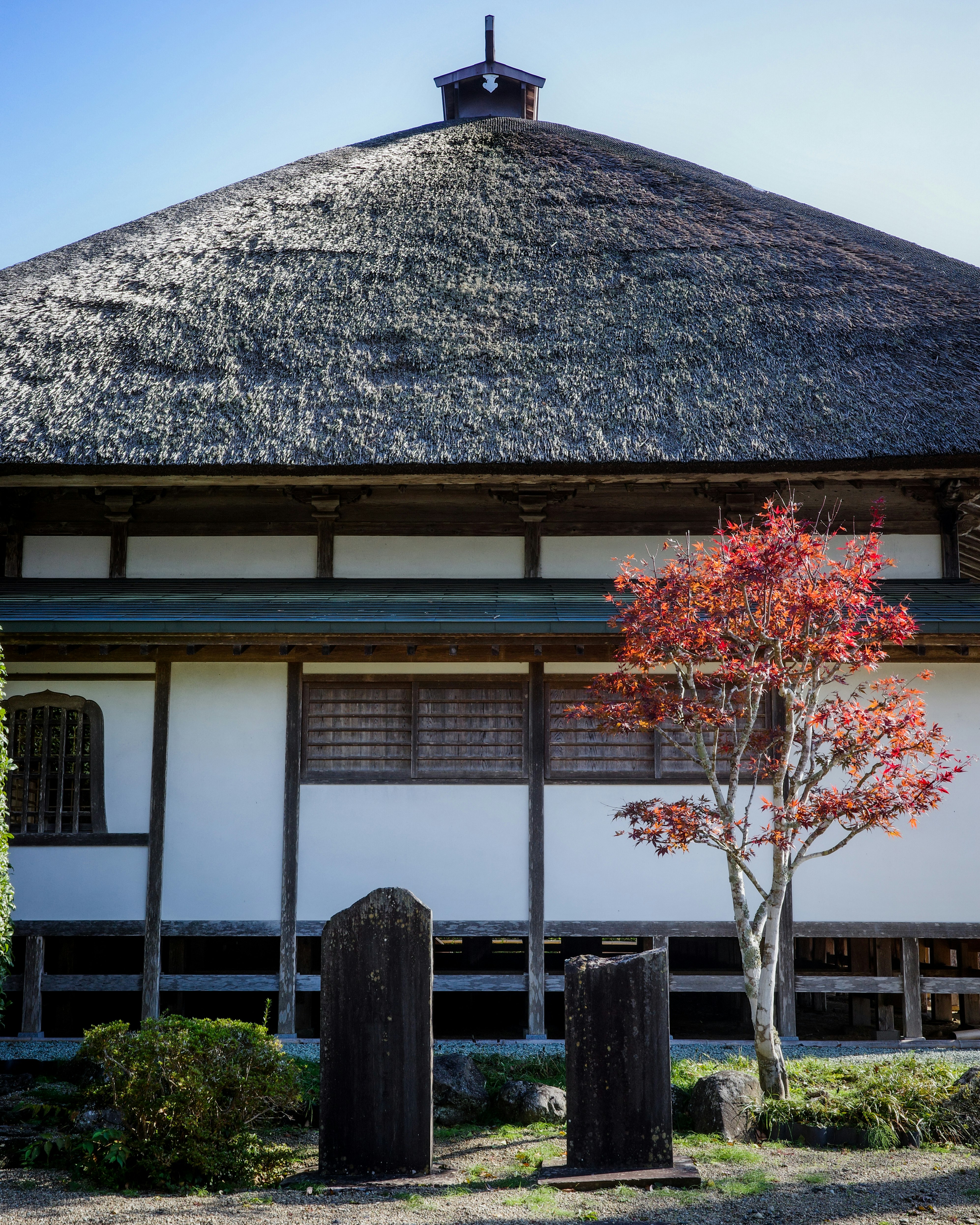 茅葺き屋根の古民家と庭の木々