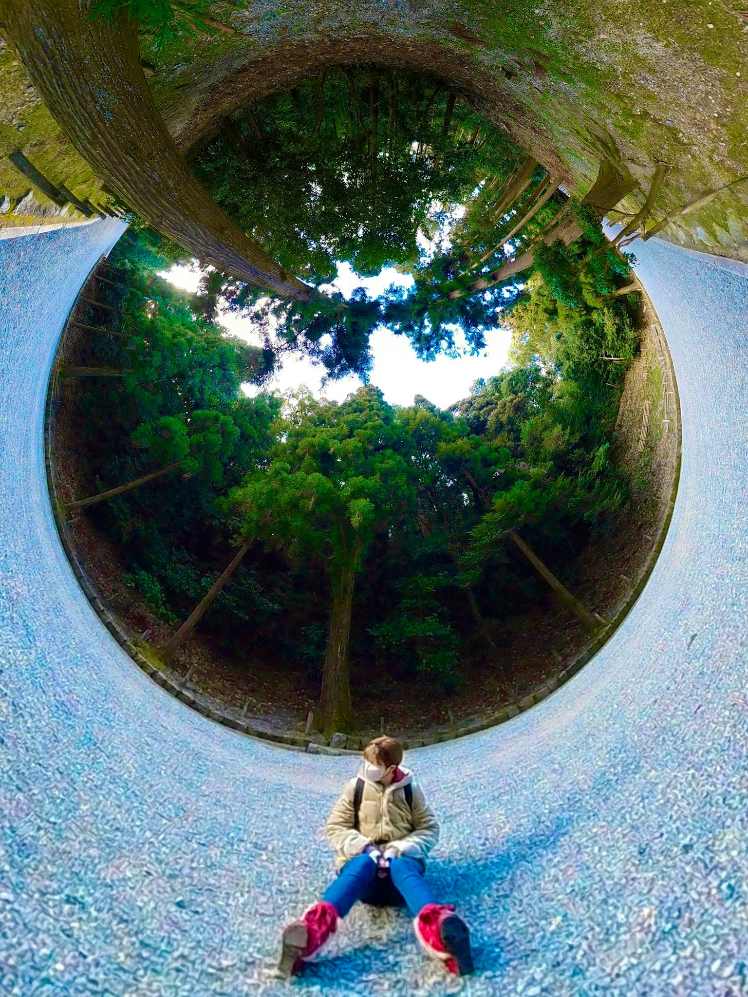 Imagen de una persona en un bosque verde con una perspectiva única