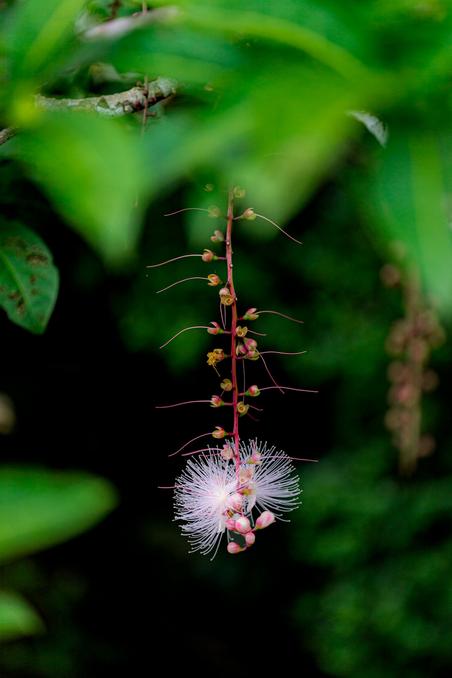 photo-le3BwaM2rRKQnY0hbTvi-image