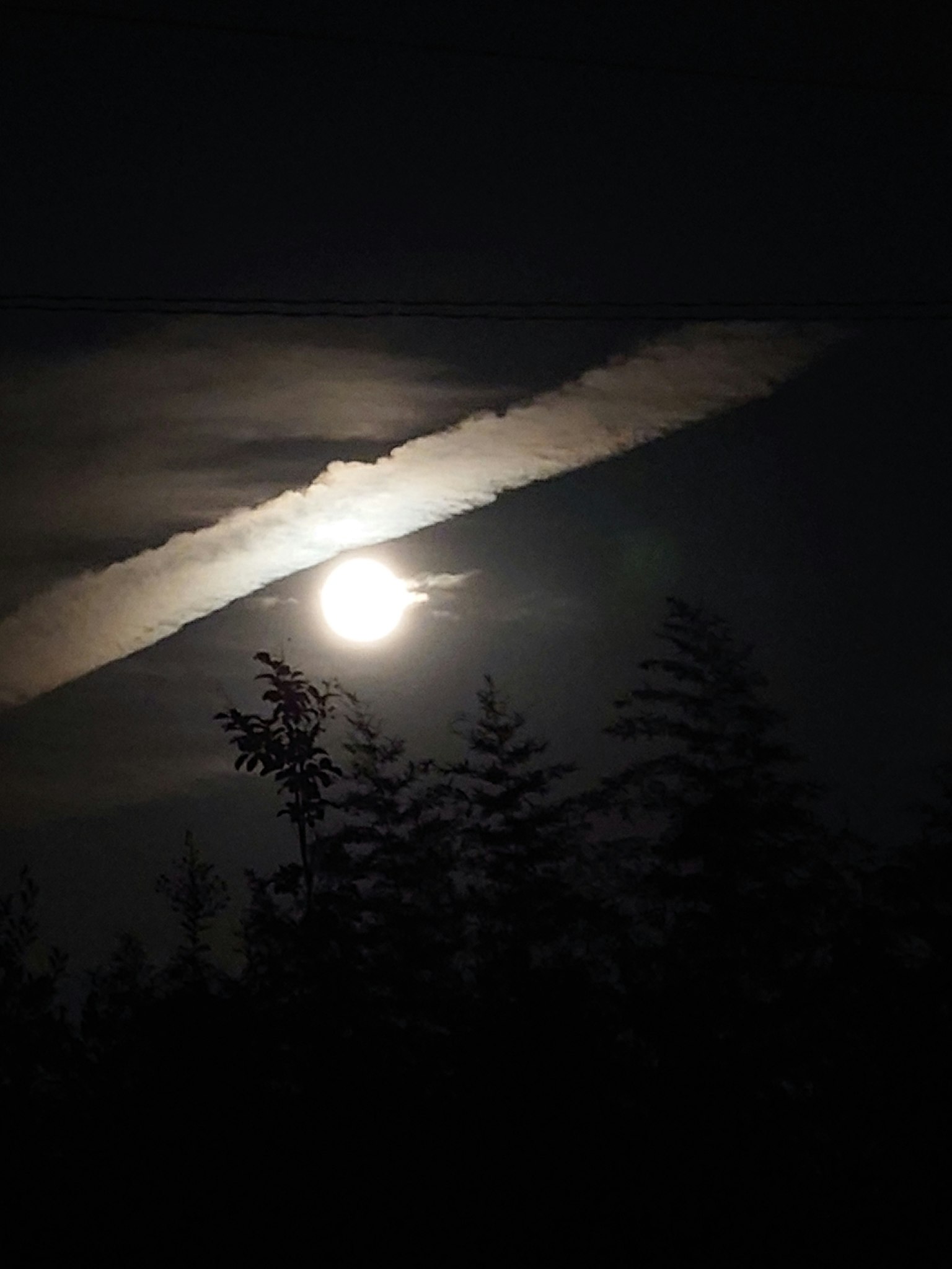 夜空中明亮的月亮被雲彩部分遮擋，樹木的輪廓形成鮮明對比的夜景