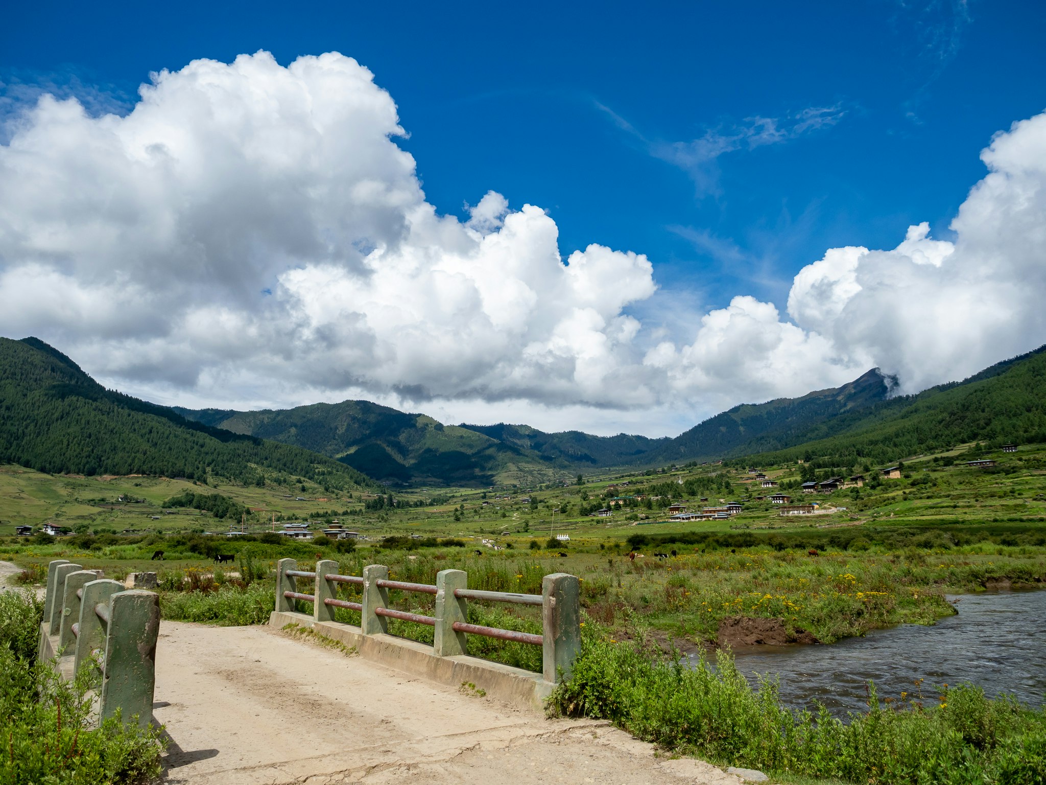 渓流沿いの曲がり道と山並みの自然風景