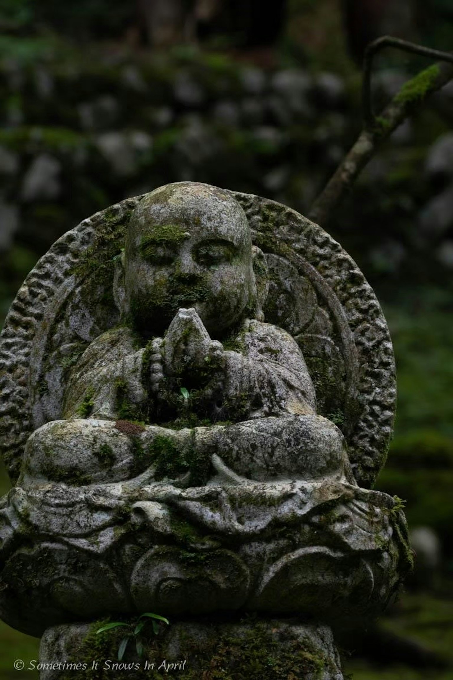 Steinbuddha-Statue in Gebetshaltung umgeben von Grün