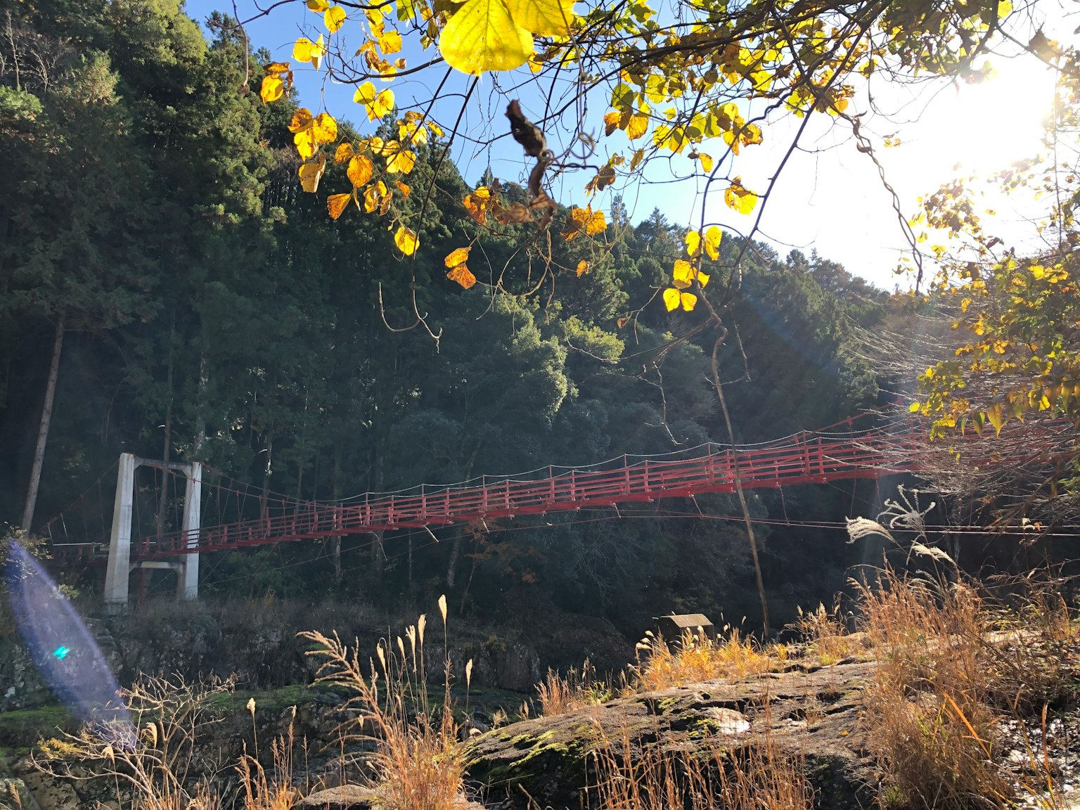 Scenic view of a red bridge surrounded by autumn leaves