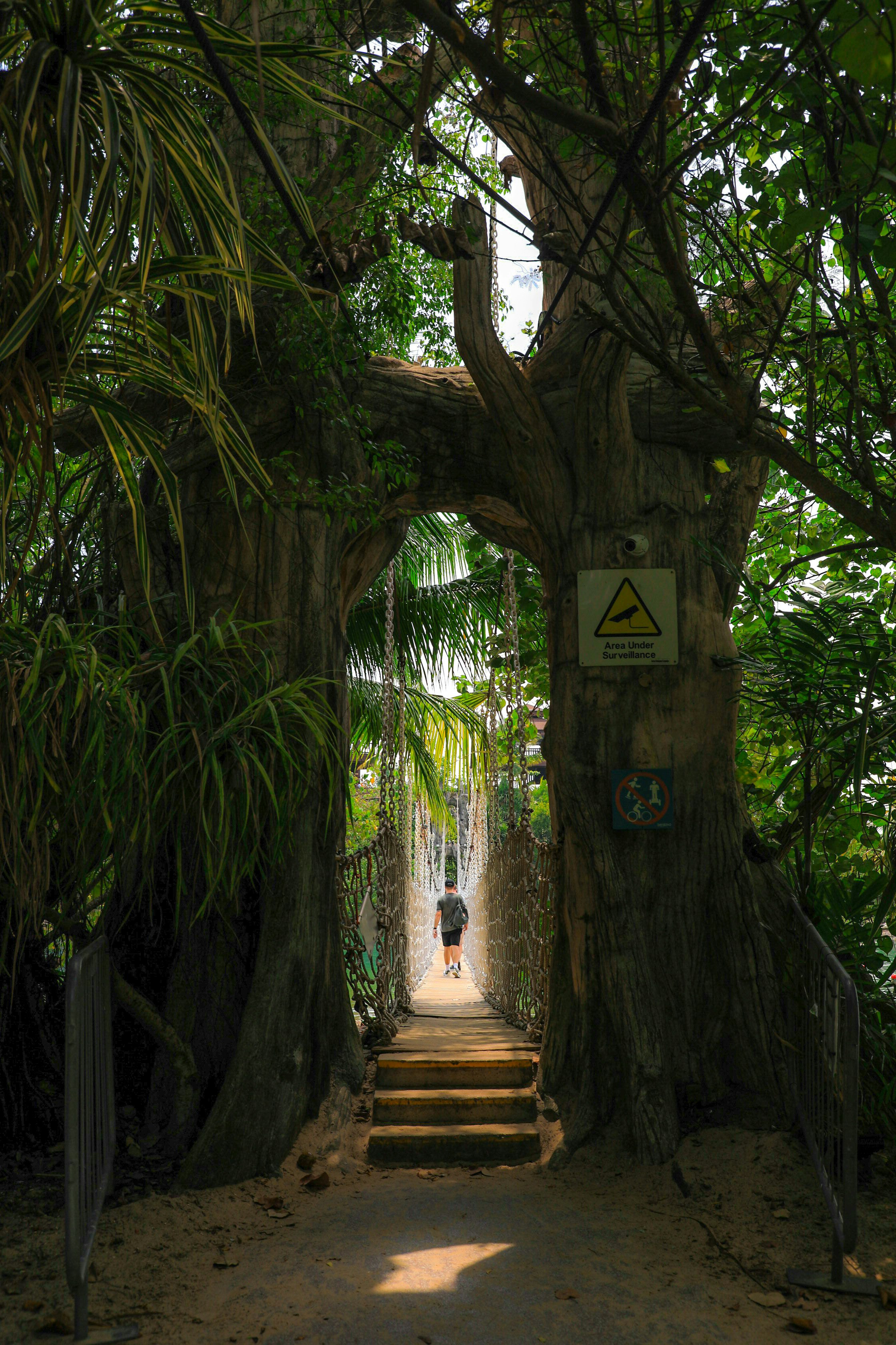 Szene eines Pfads in einem tropischen Garten auf Sentosa Island