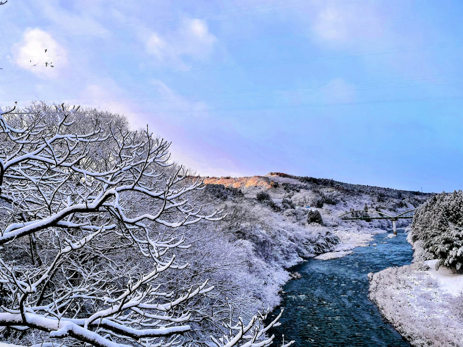Paysage d'hiver avec des arbres enneigés et une rivière paisible