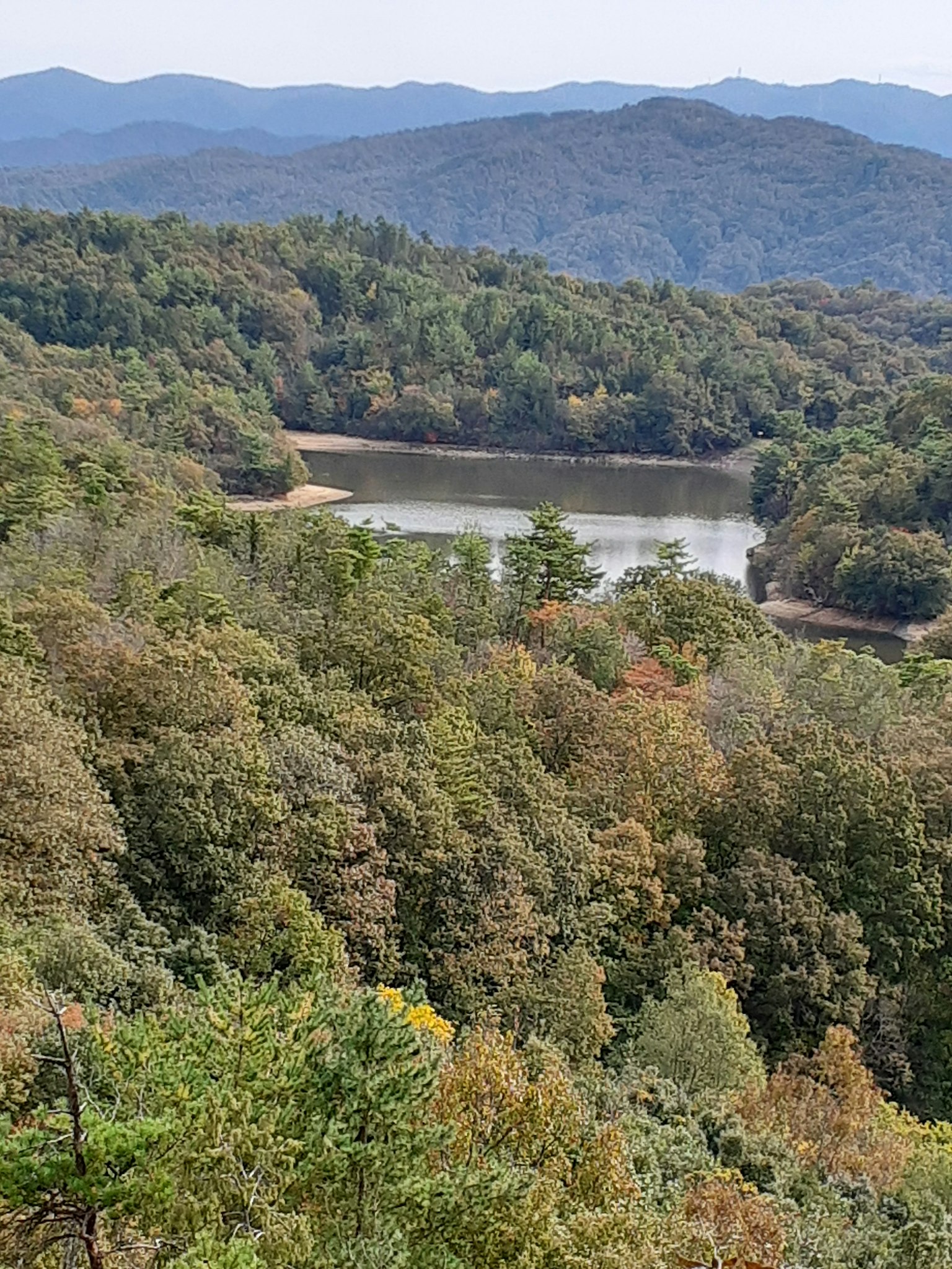 Üppige Waldlandschaft mit einem ruhigen See, umgeben von Bergen