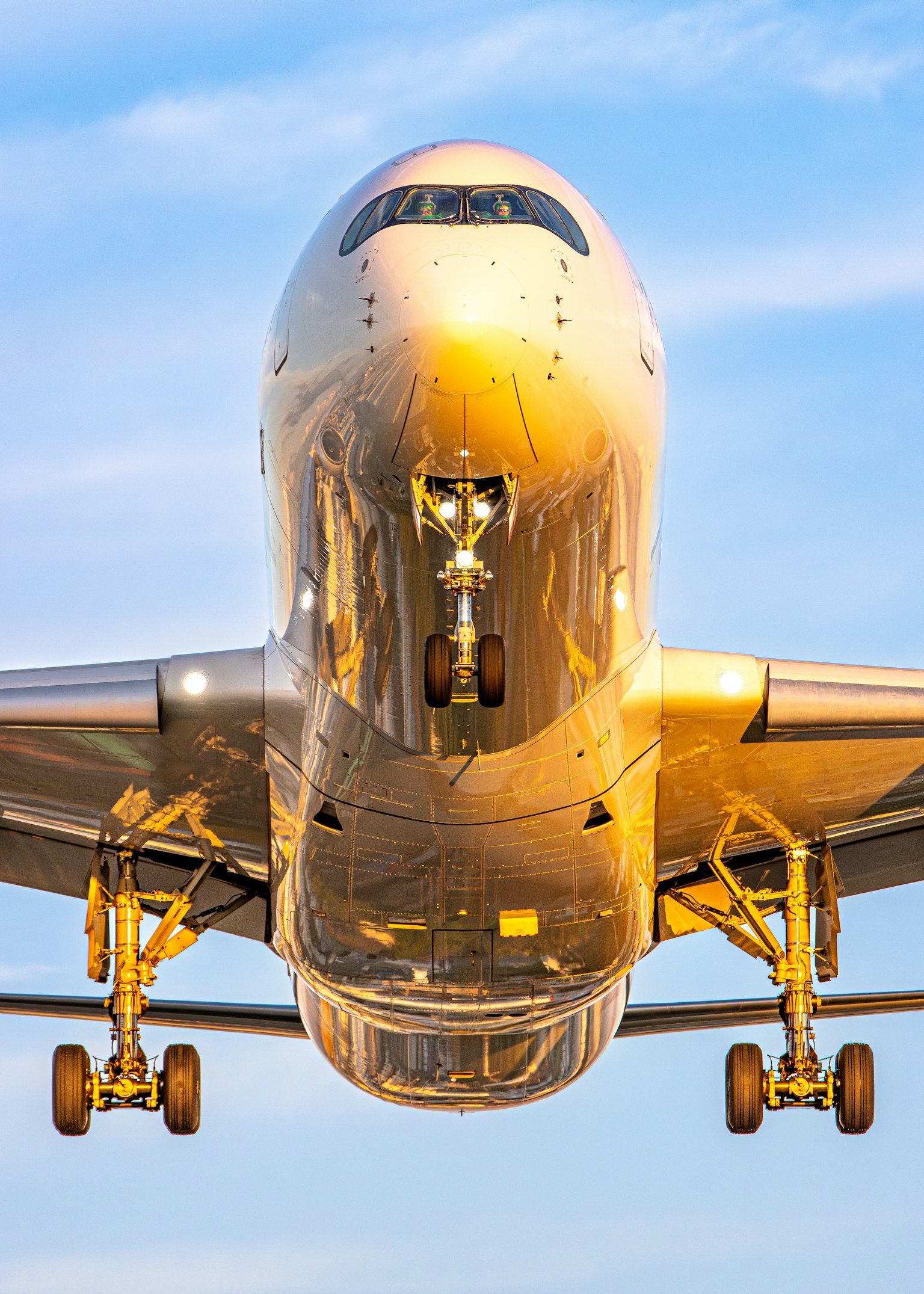 photo-lgLptueXtM2GJ3jywkVQ-image