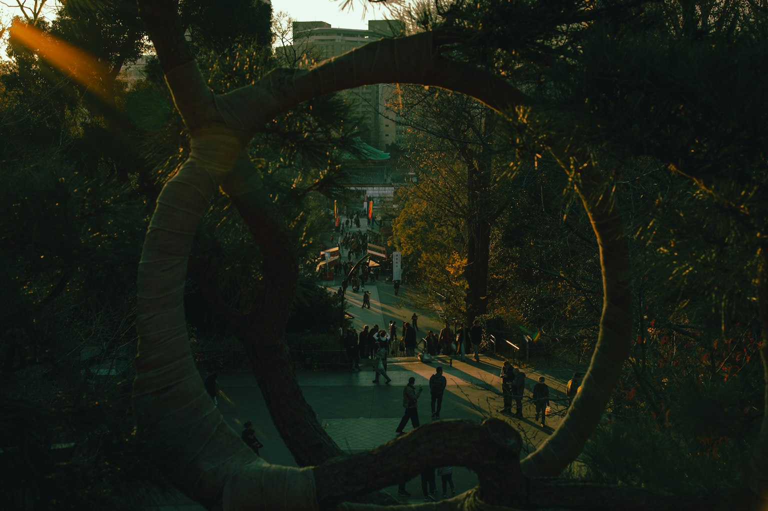 Grande sculpture circulaire dans un parc avec des gens marchant à la lumière naturelle