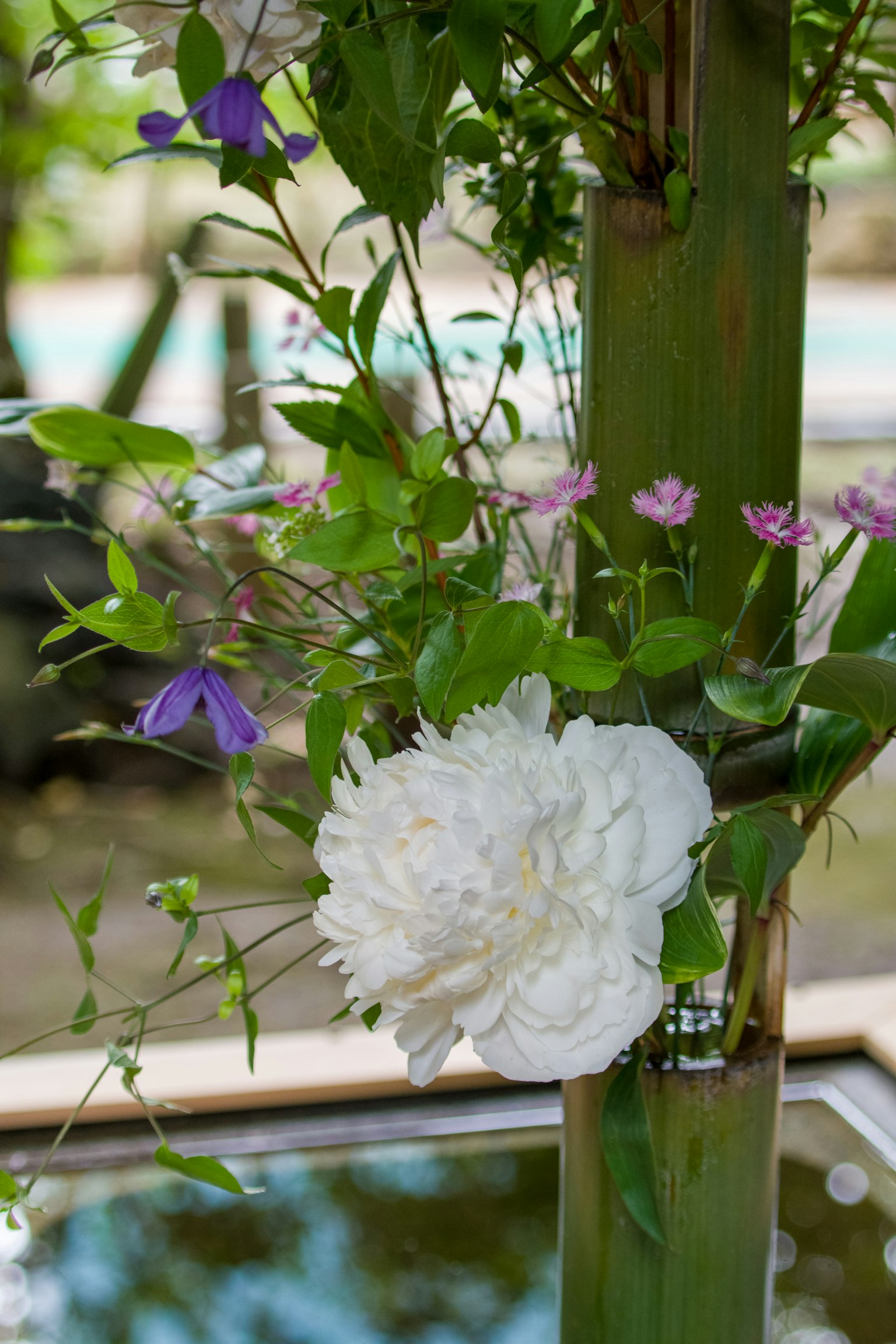 Un fiore bianco e foglie verdi disposti elegantemente su una struttura di bambù