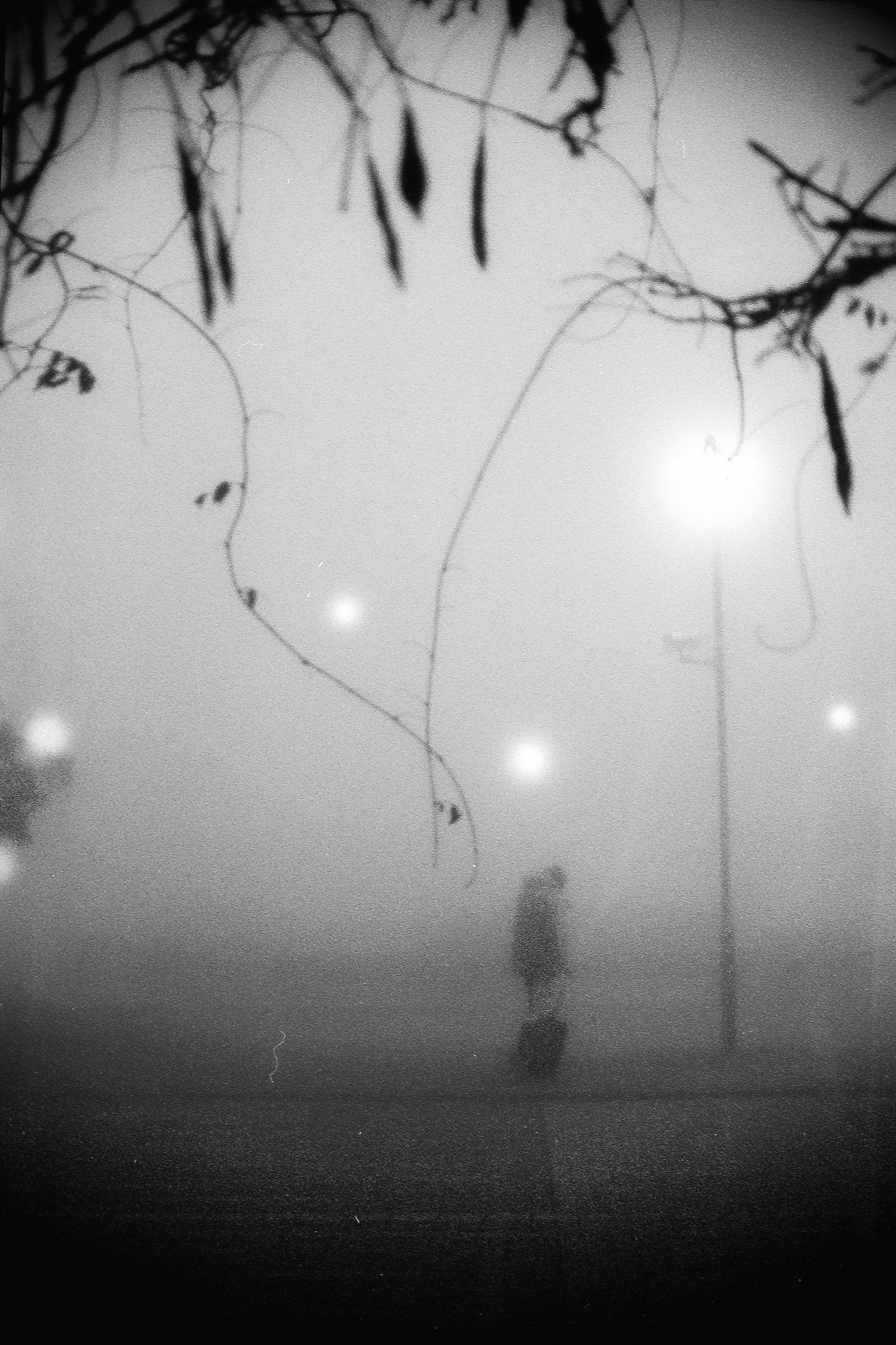 Silhouette di una persona che cammina nella nebbia con lampioni