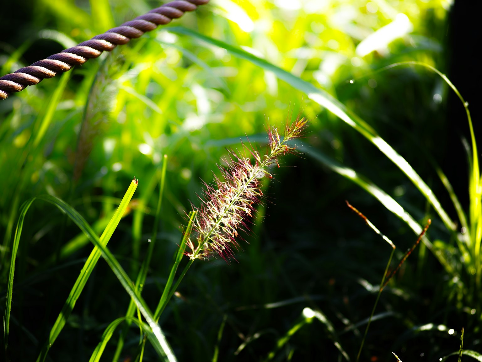 photo-lhhc19VJwGjeo47xBbss-image