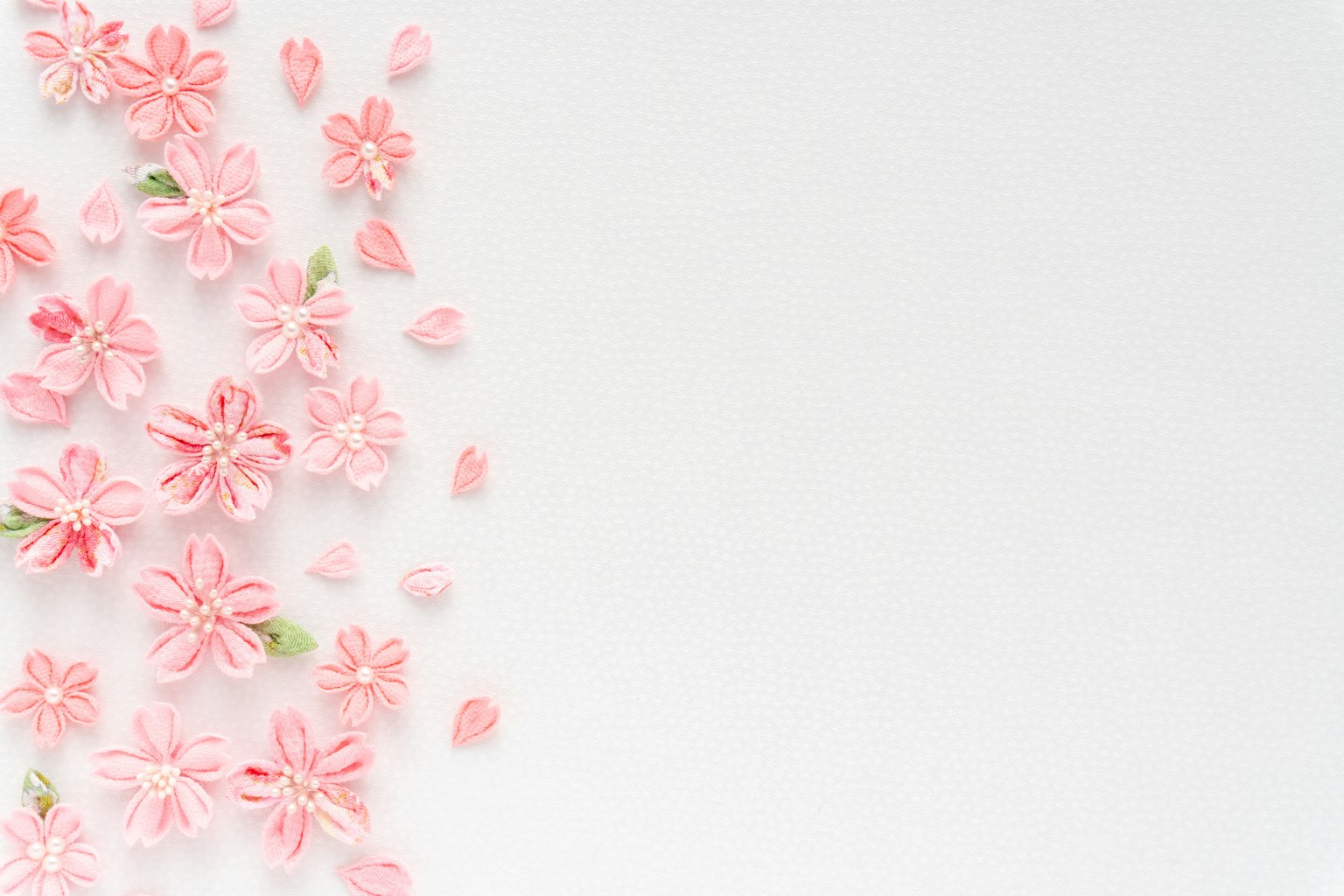 Fiori e petali rosa sparsi su uno sfondo bianco
