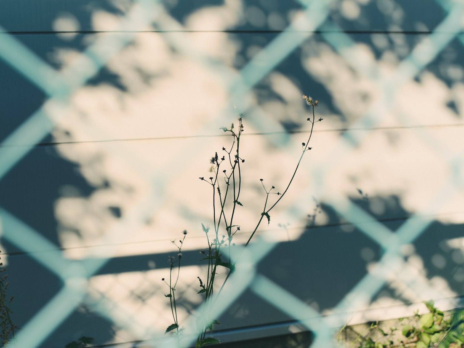 photo-li8wcHNPvjlR689hqnYn-image