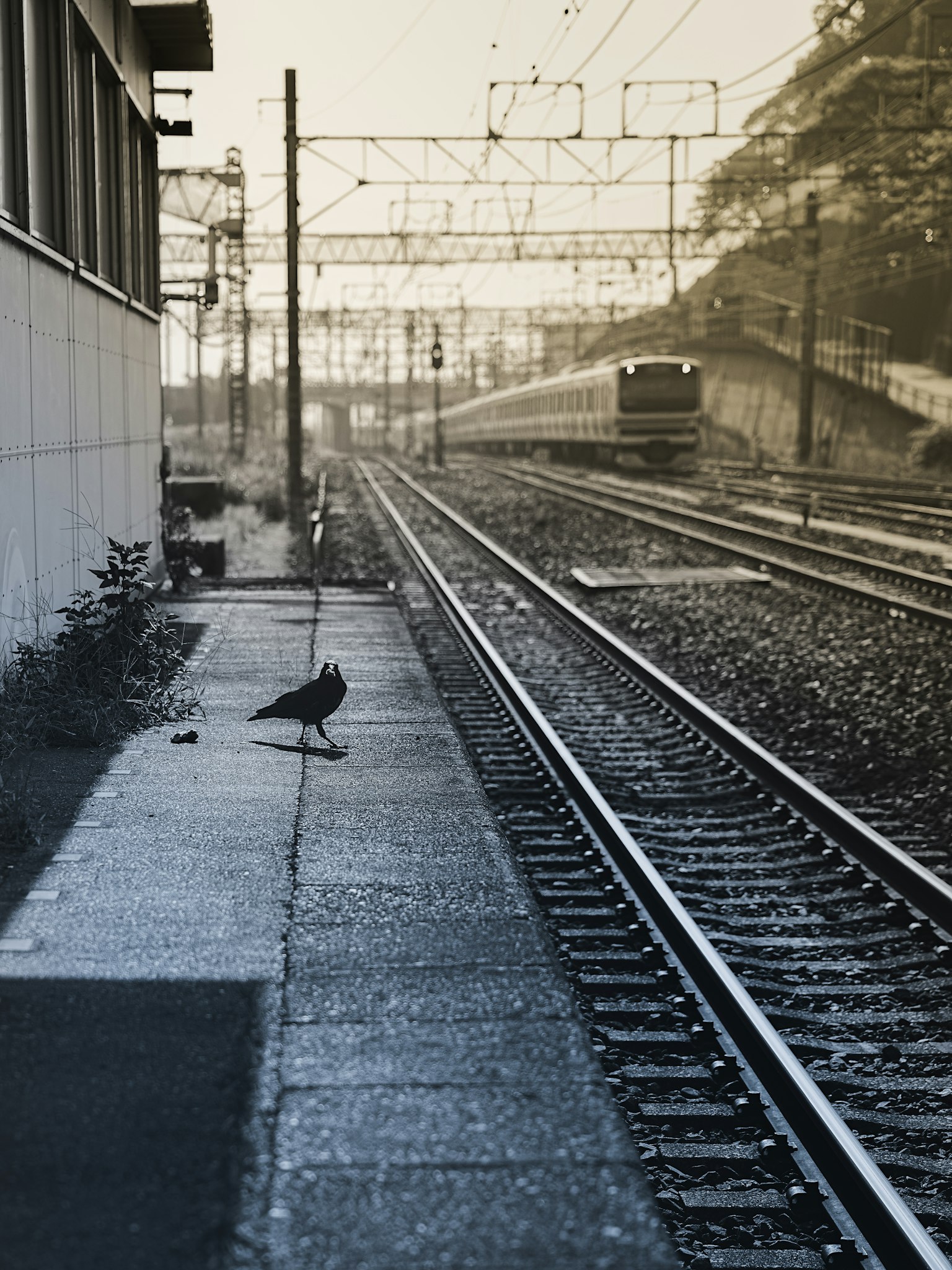 暗い背景にシンプルなデザインのグレーの四角形