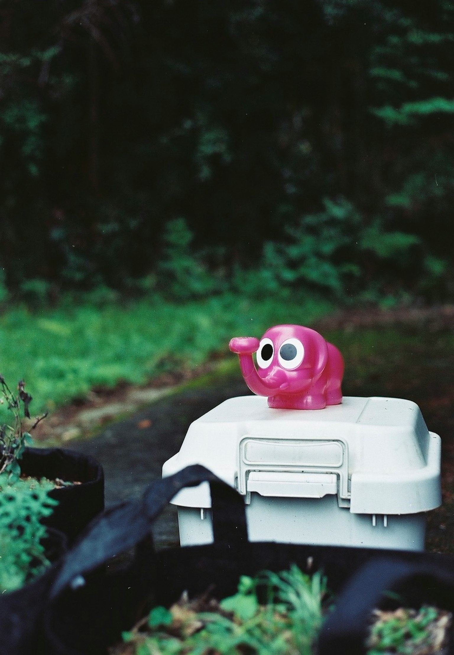Seekor gajah mainan berwarna pink di atas kotak putih di latar belakang hijau