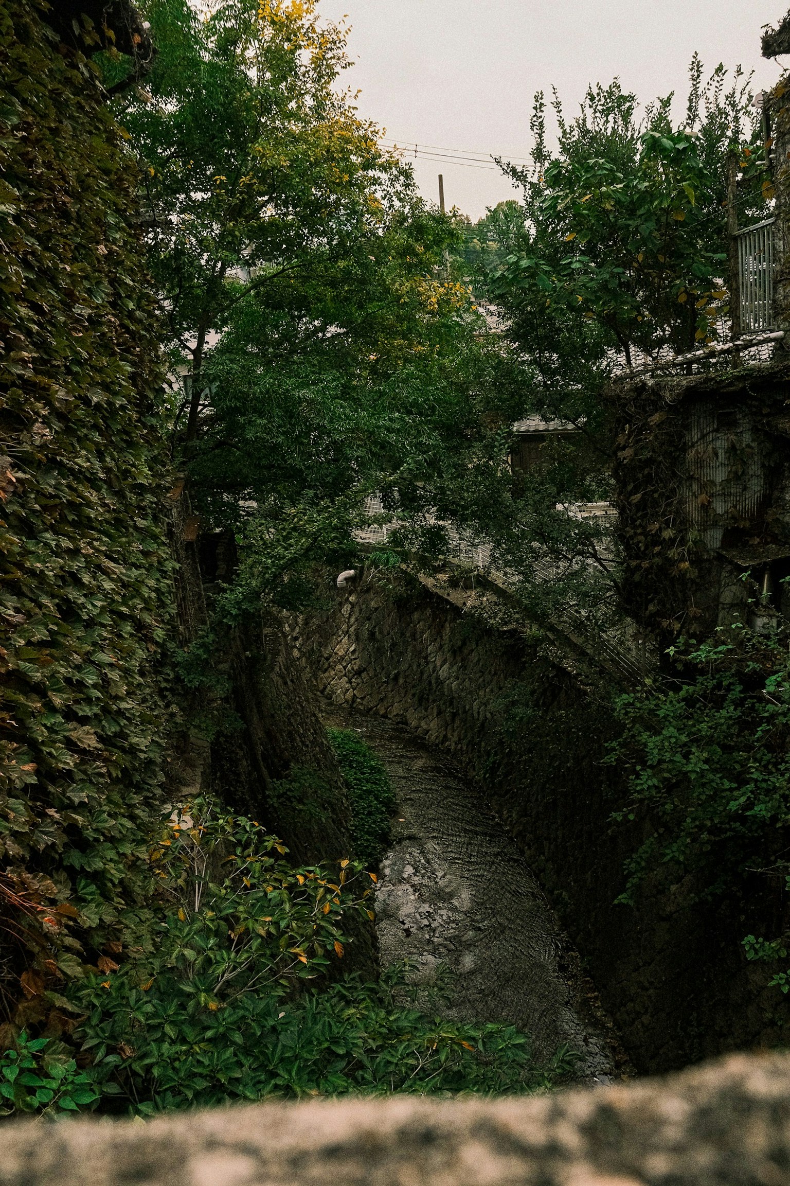 Schluchterneuer umgeben von Grün und Steinmauern