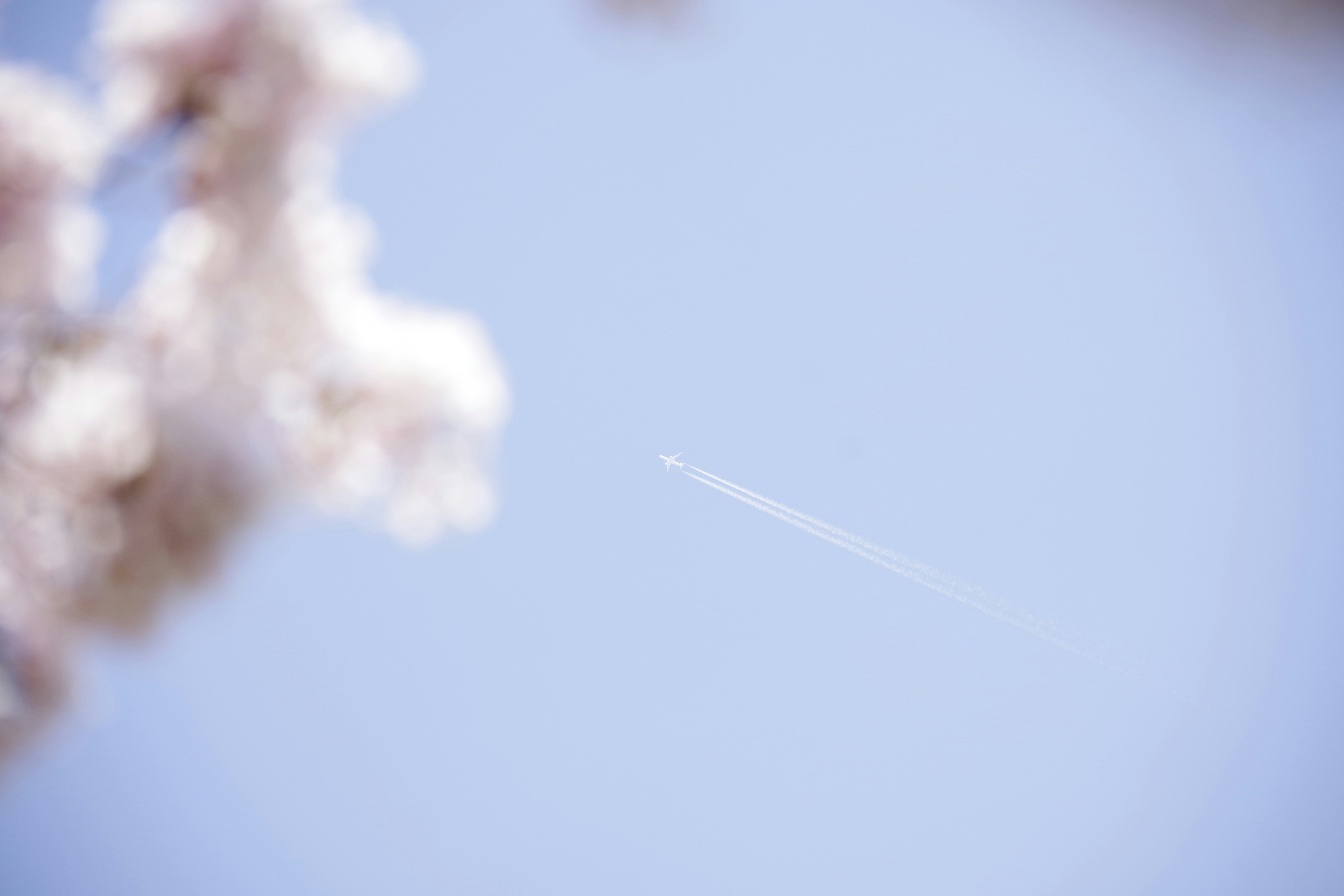 飛行機雲が広がる青空の一瞬