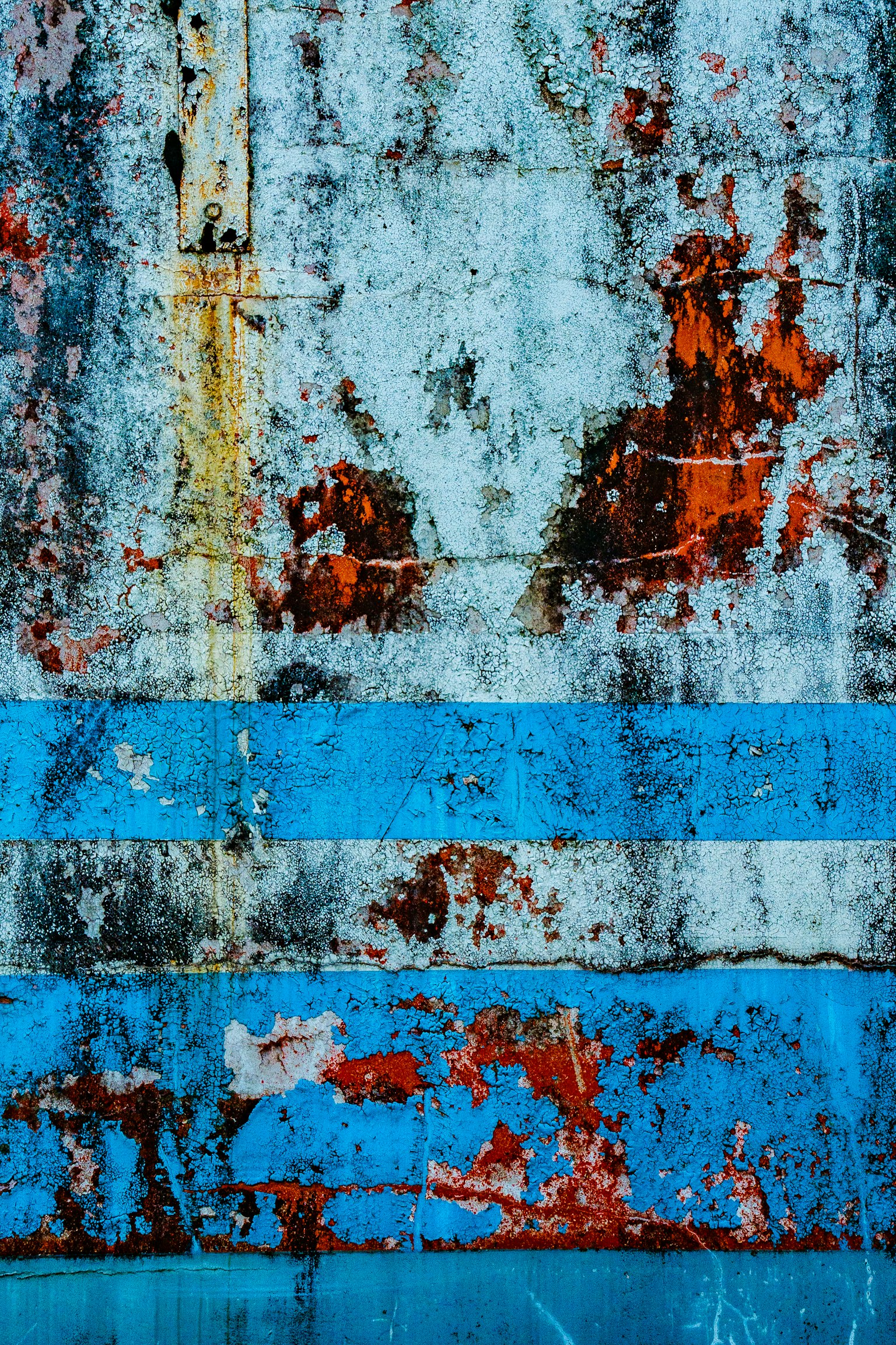 photo-lj3rmwMTI86hjMVJmebn-image