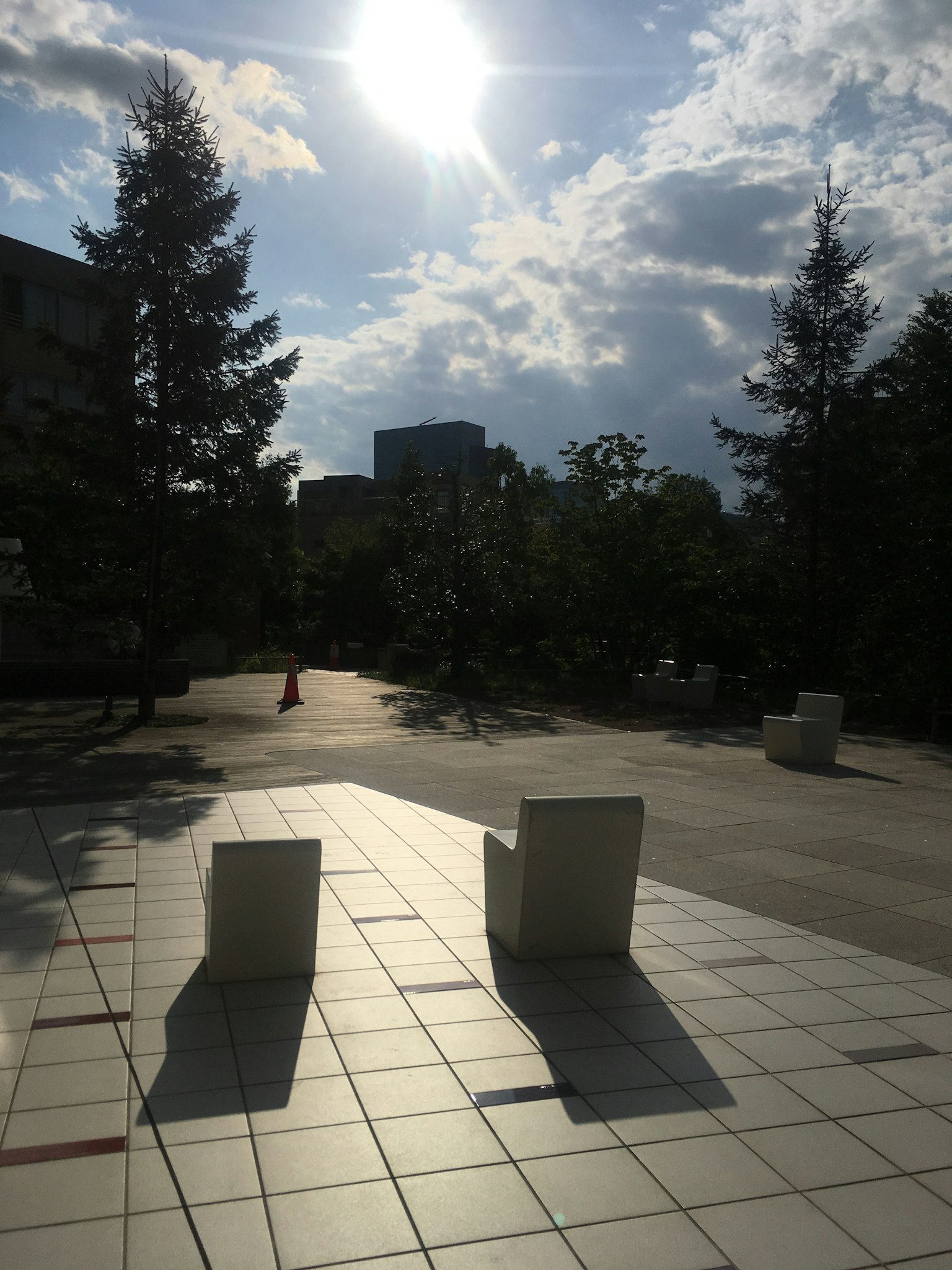 阳光明媚的公园场景，有白色长椅和树木