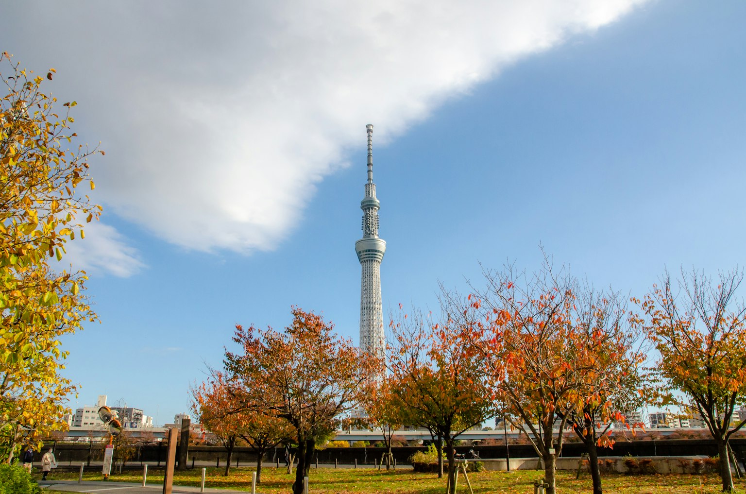 Tokyo Skytree với lá mùa thu